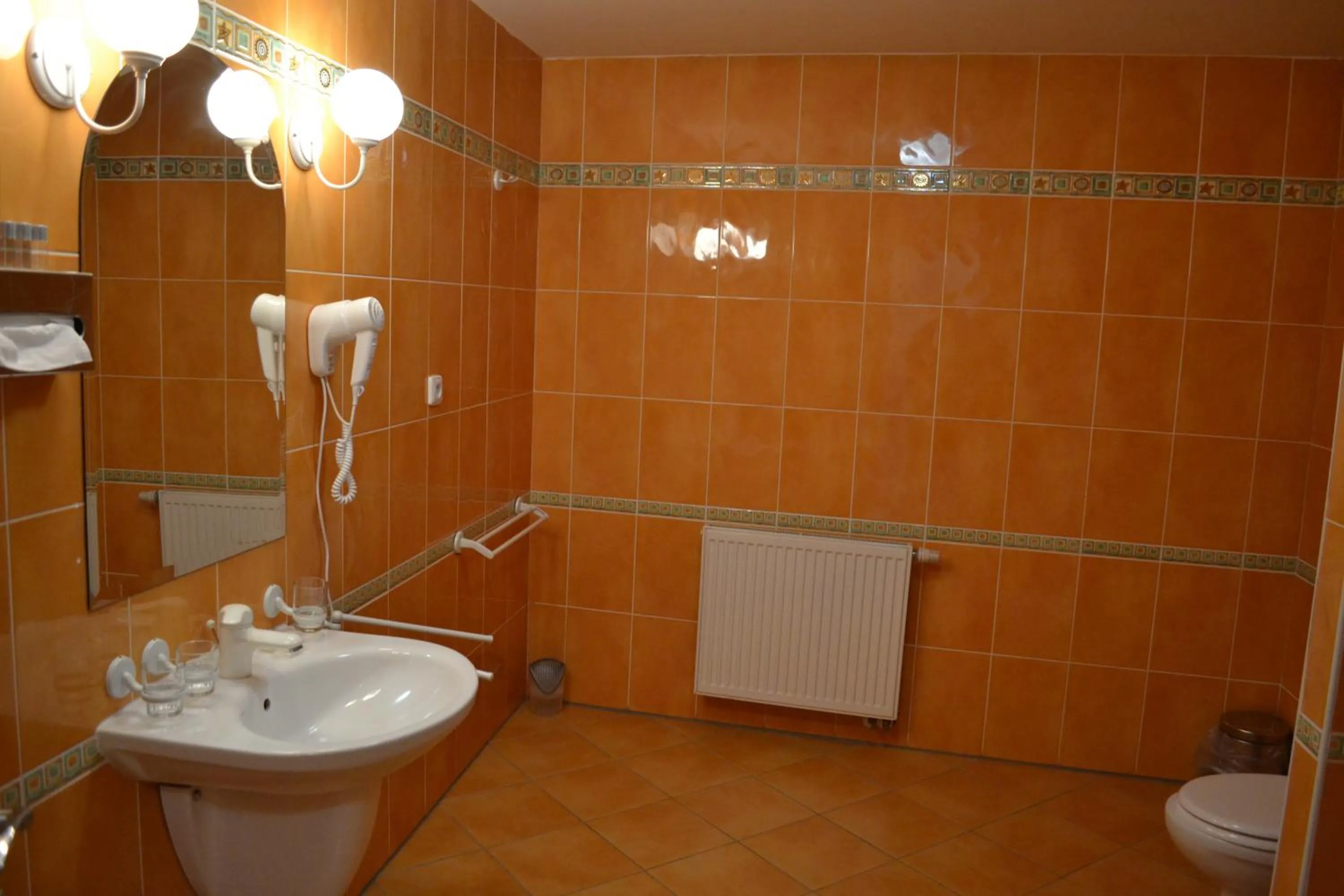 Bathroom in Hotel Dvorak