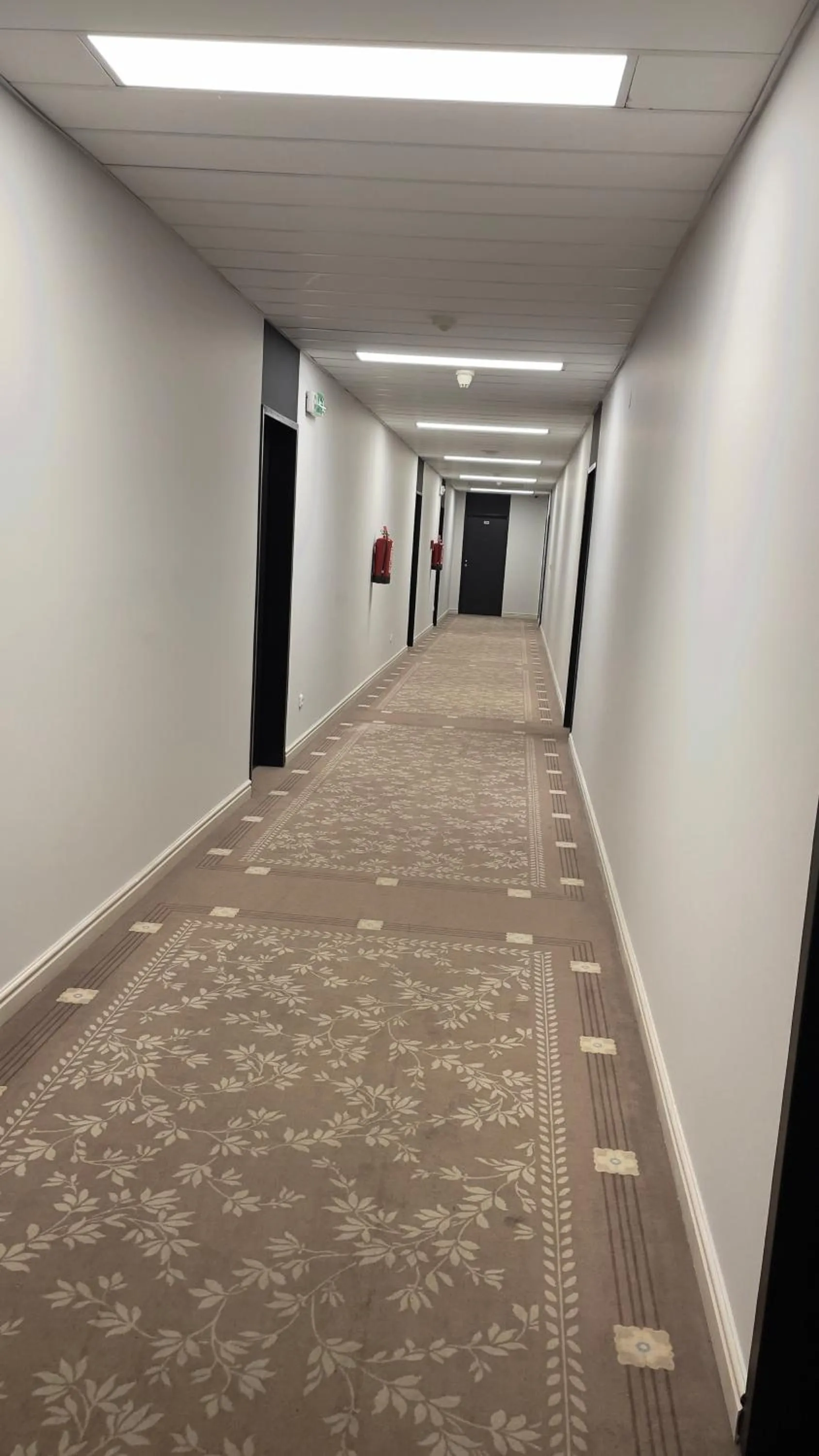 Area and facilities in Hotel Dvorak