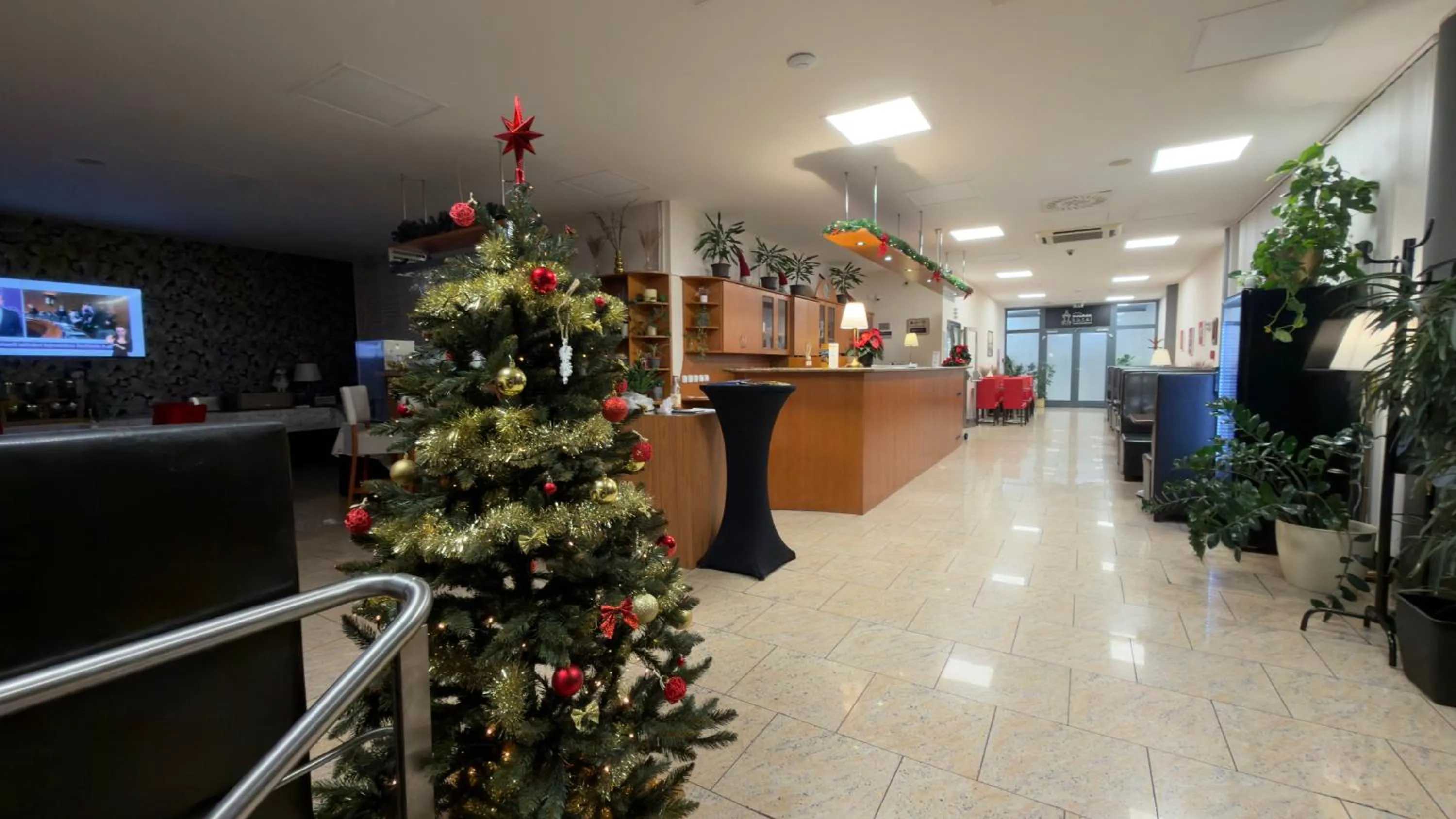 Lobby or reception in Hotel Dvorak