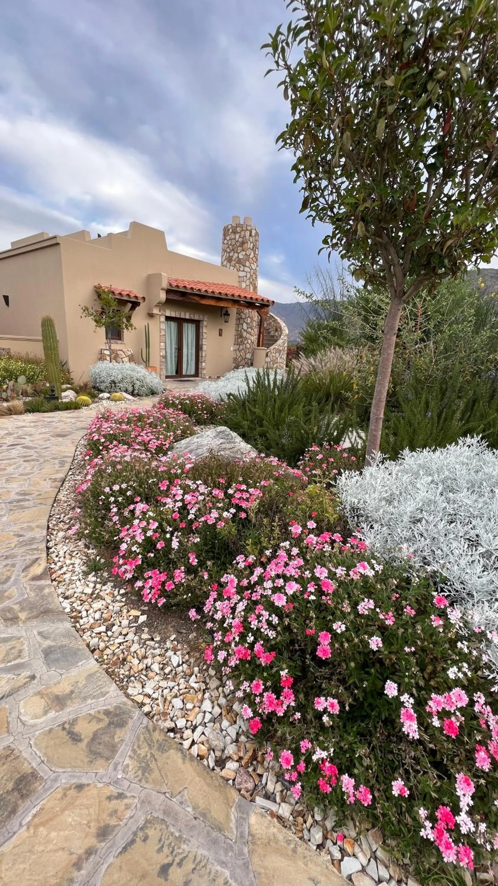 Garden in Piattelli Wine Resort Hotel Cafayate