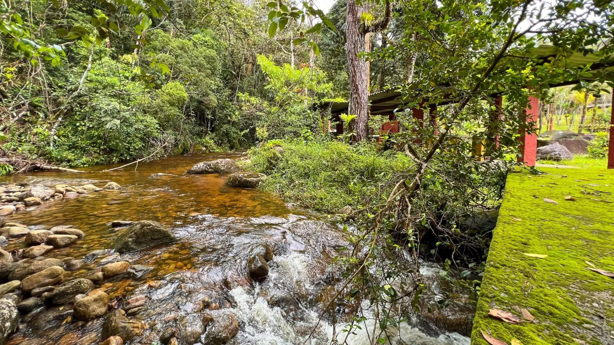 Natural landscape in Pousada Ananda Parivara