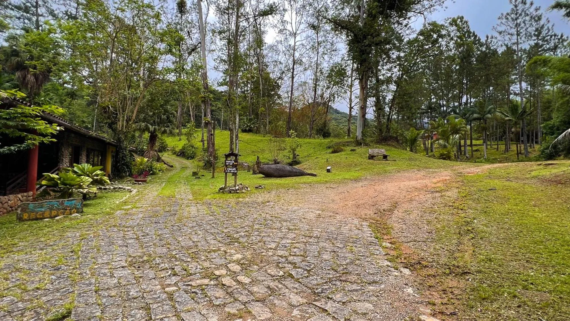 Natural landscape in Pousada Ananda Parivara
