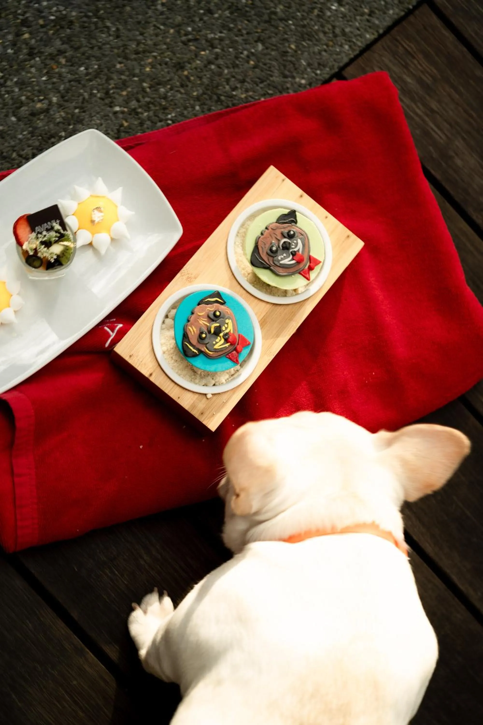 pet friendly in Avani Plus Khao Lak Resort