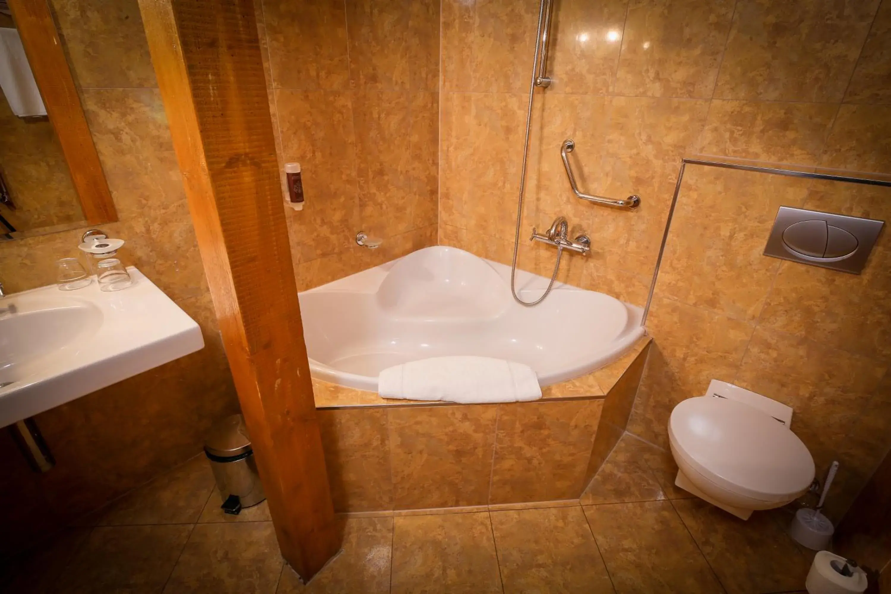 Double Room in LH Hotel Dvořák Tábor Congress & Wellness Double Room in LH Hotel Dvořák Tábor Congress & Wellness