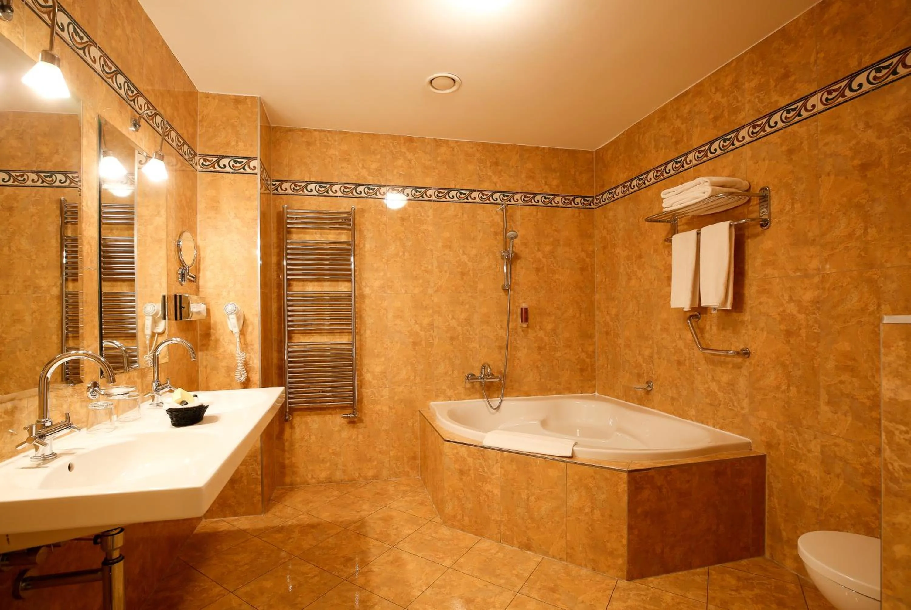 Toilet in LH Hotel Dvořák Tábor Congress & Wellness