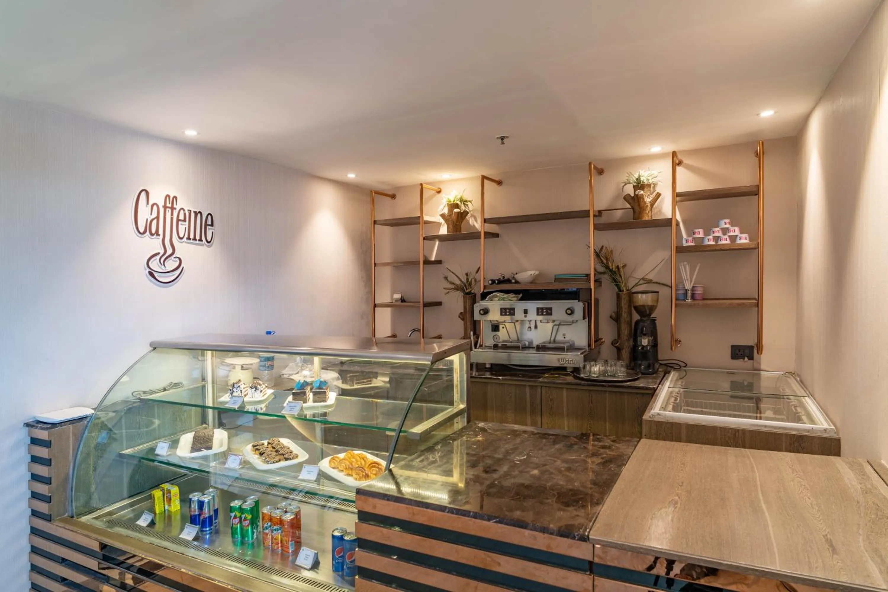 Coffee/tea facilities in Regenta Place Amritsar by Royal Orchid Hotels Limited