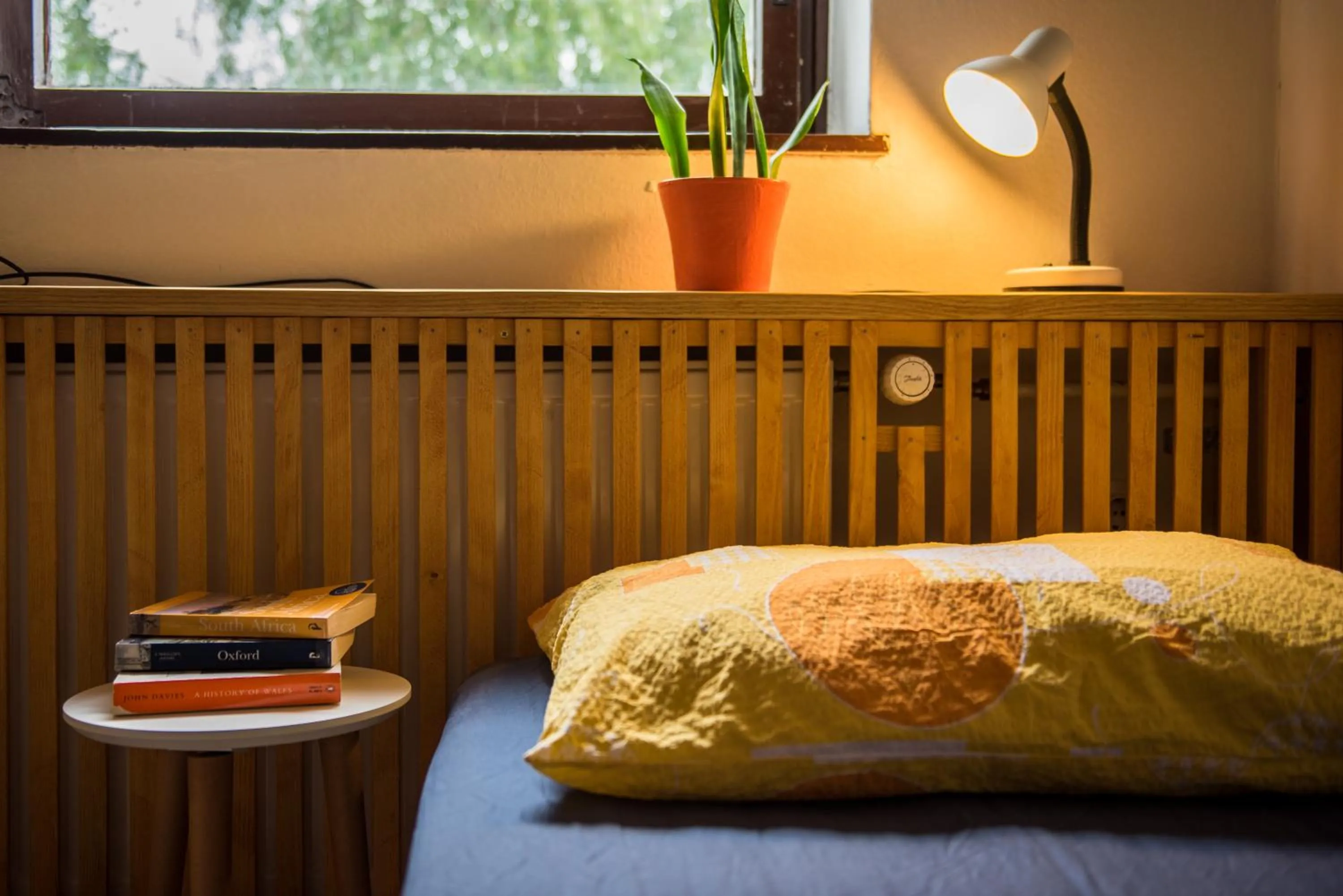 Bed in Hostel Idrija