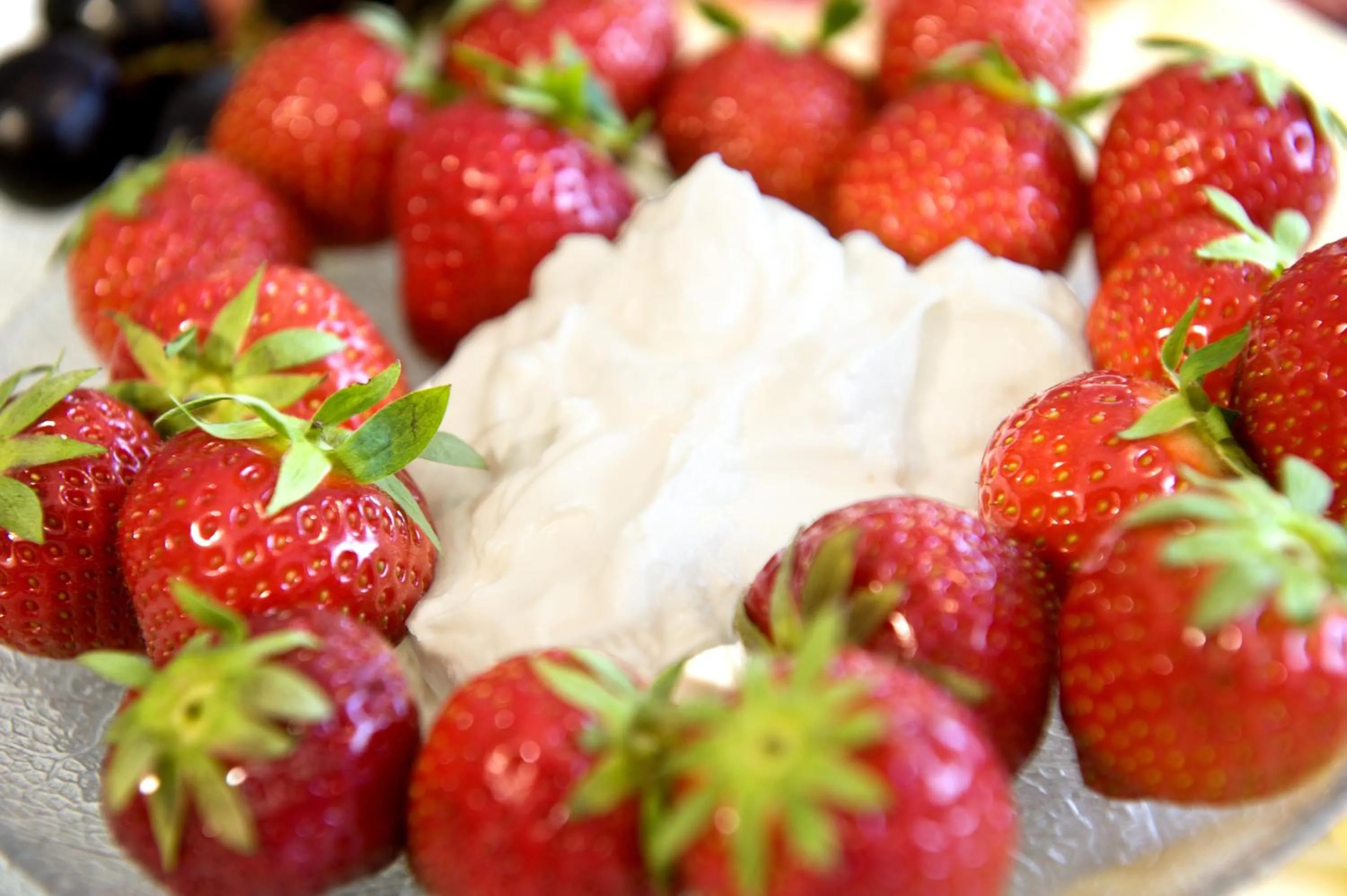 Food in mittendorf klimaresidence