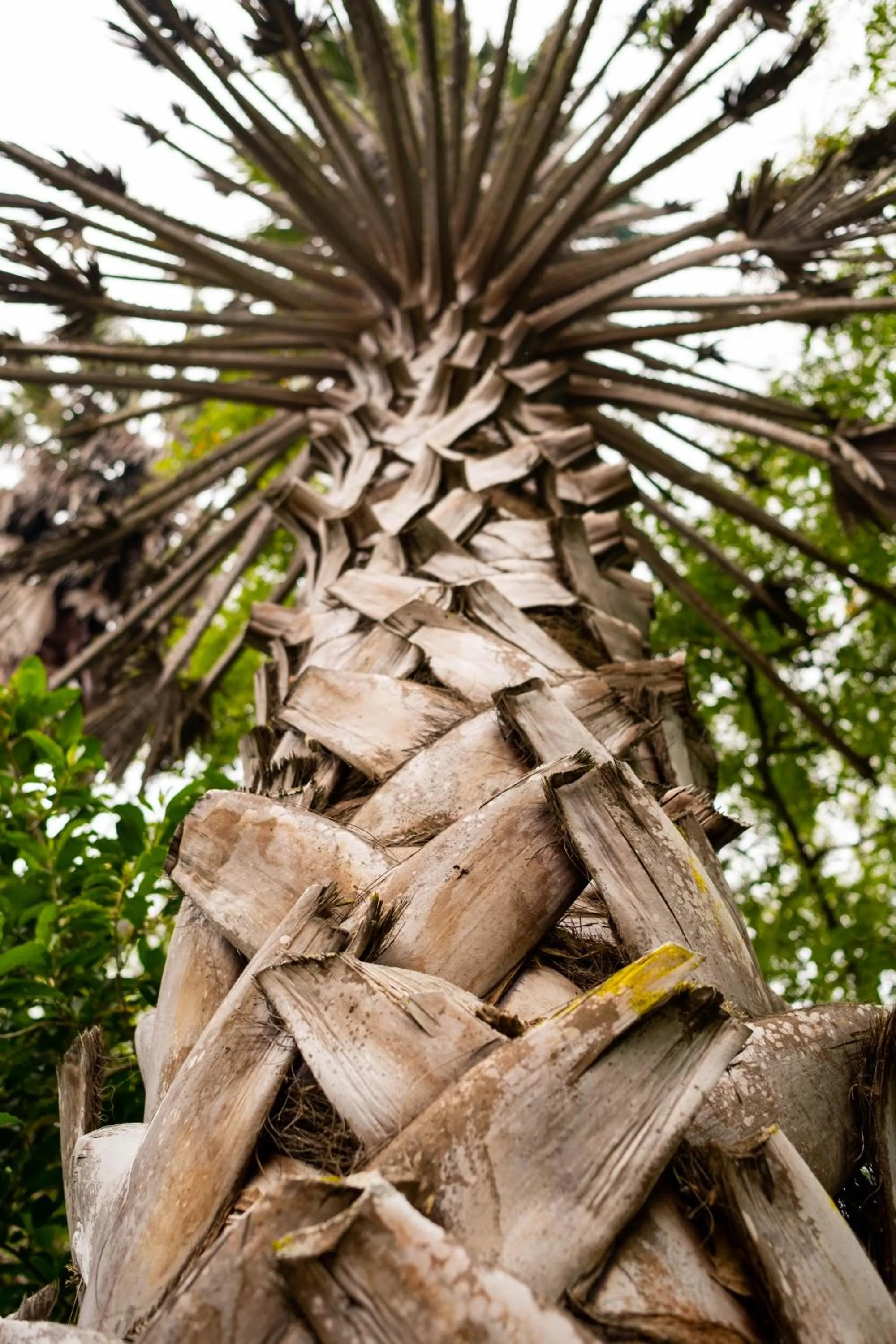 Natural landscape in BWHALE guest house B&B