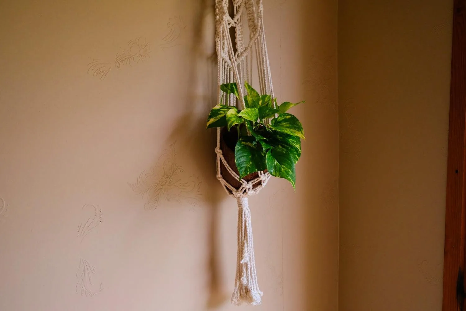 BWHALE guest house B&B