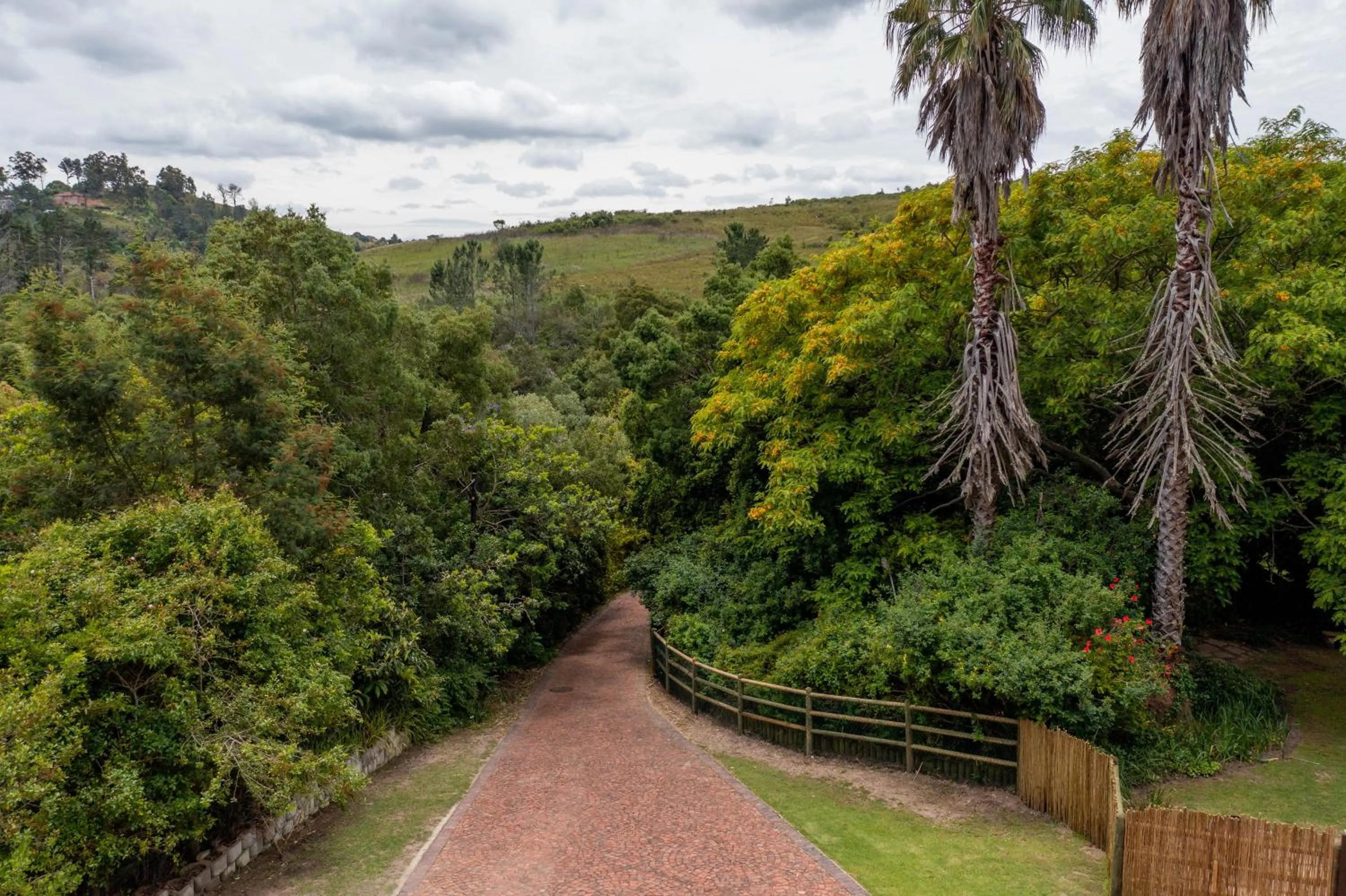 Day in BWHALE guest house B&B