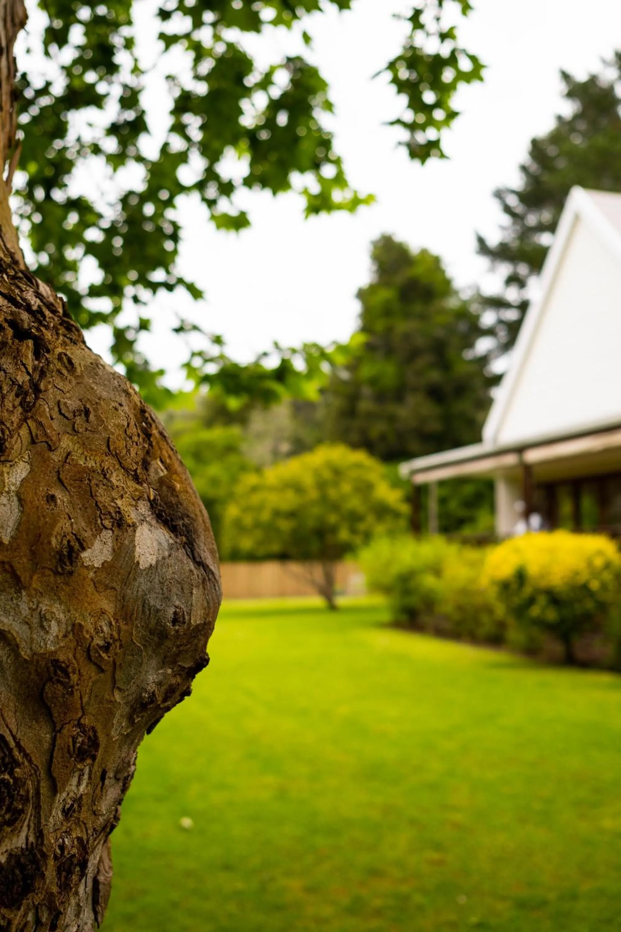 Property building in BWHALE guest house B&B