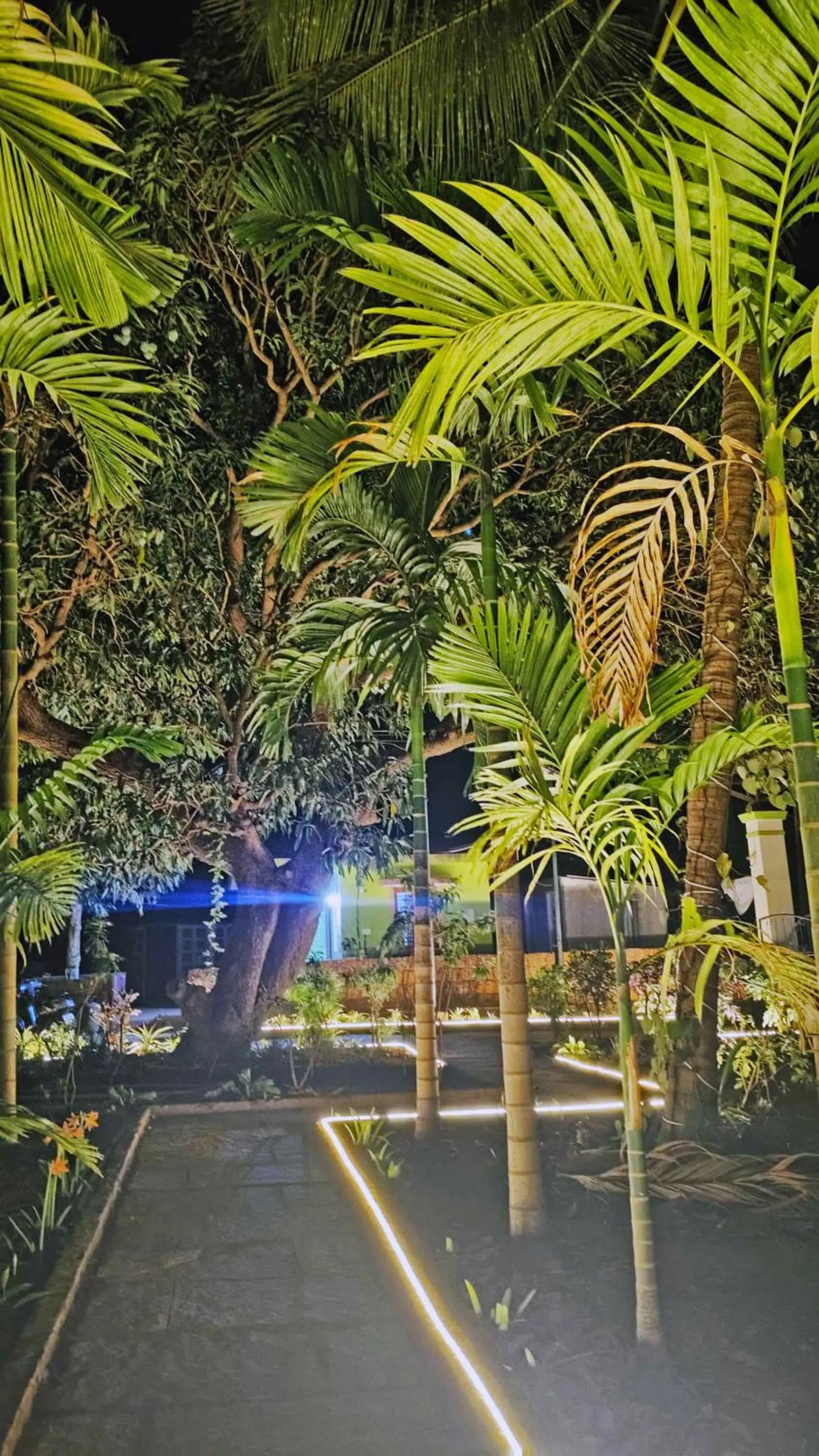 Sunny's Serenity Resort