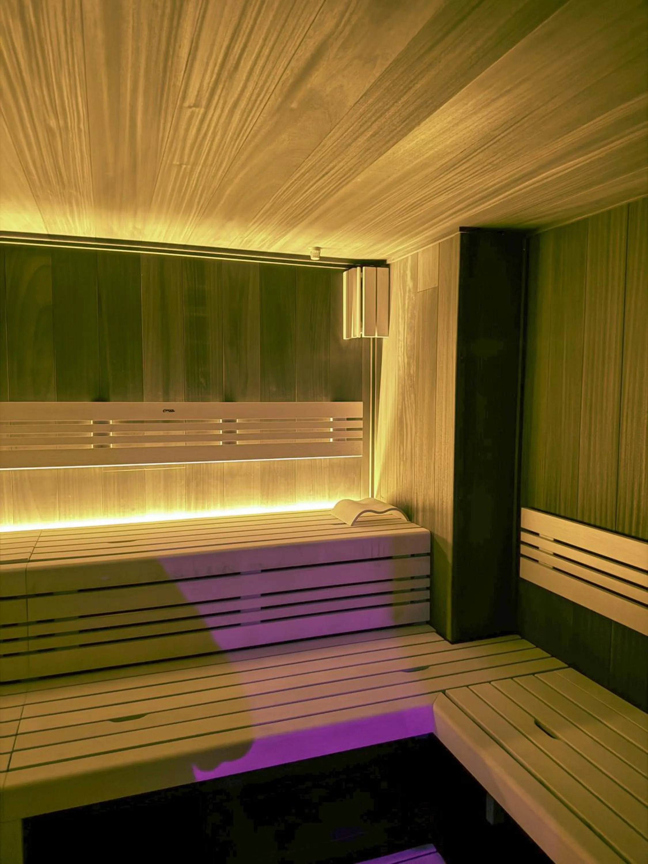 Sauna in LH Parkhotel Hluboka Nad Vltavou Congress & Wellness