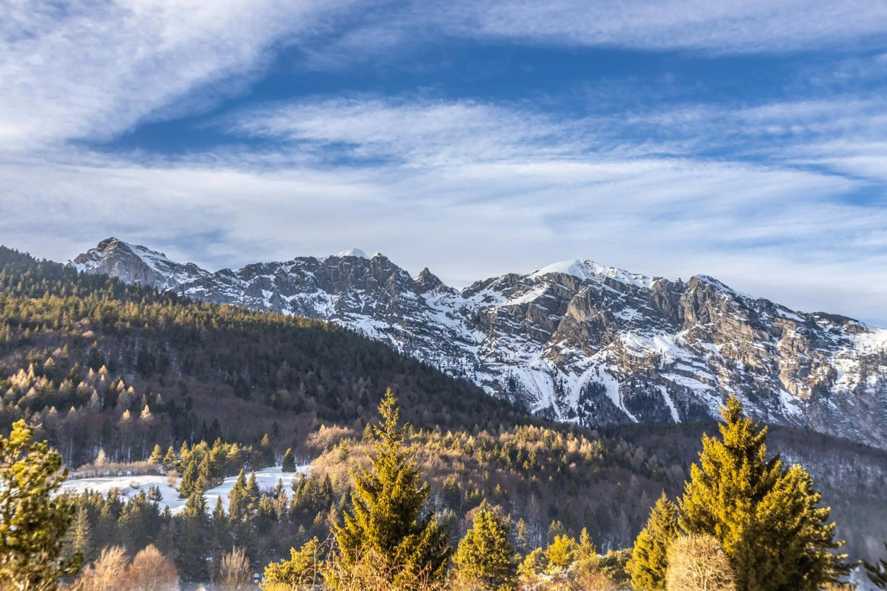 Natural landscape in Garden Wellness Hotel S