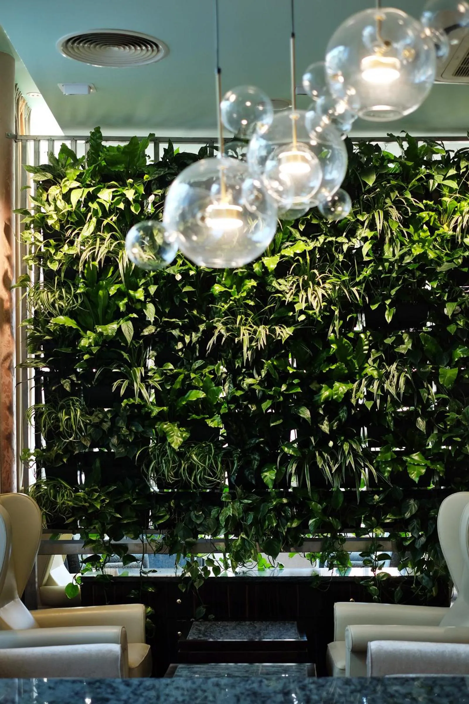 Restaurant/places to eat in Hotel Continental