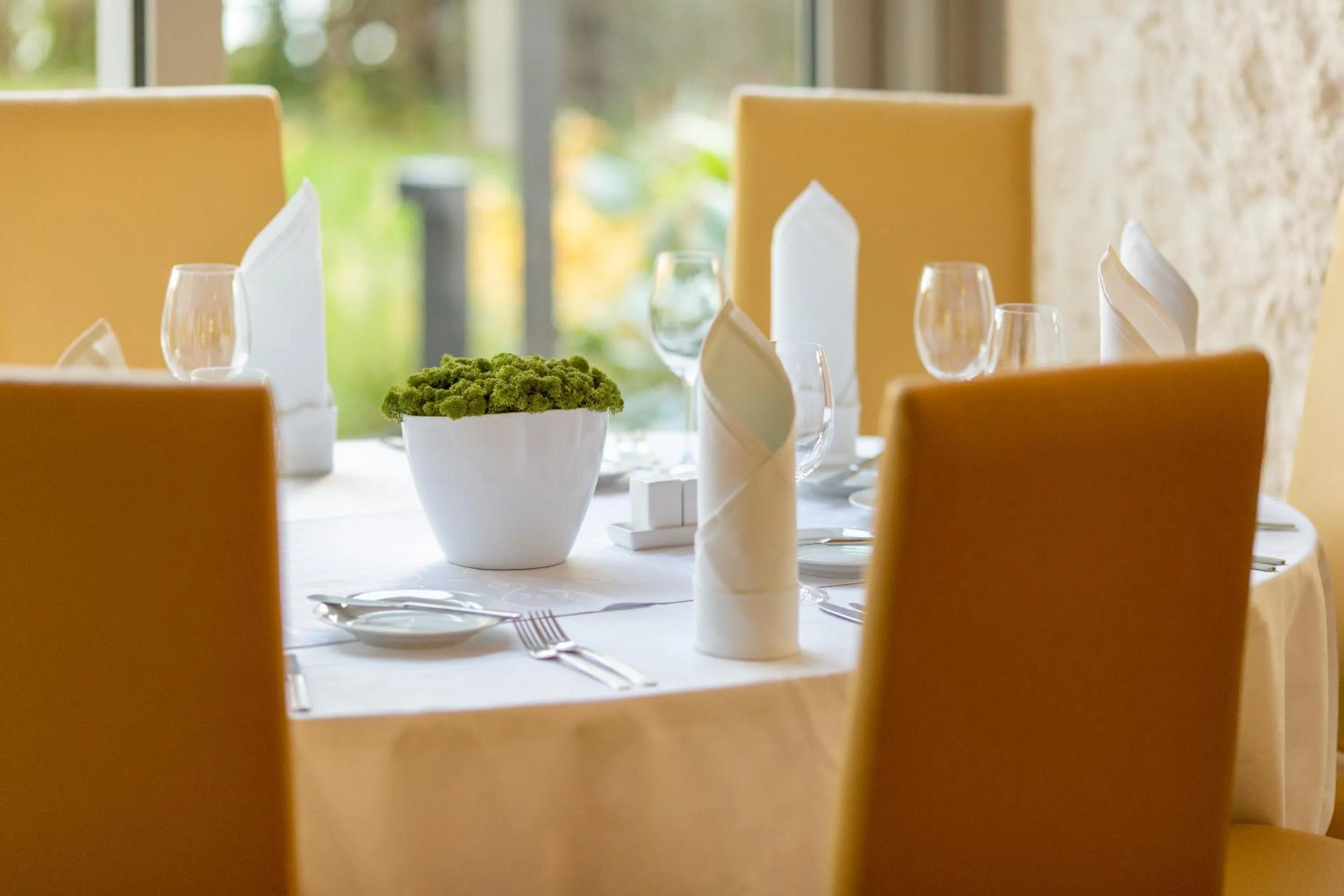 Restaurant/places to eat in Hotel Continental