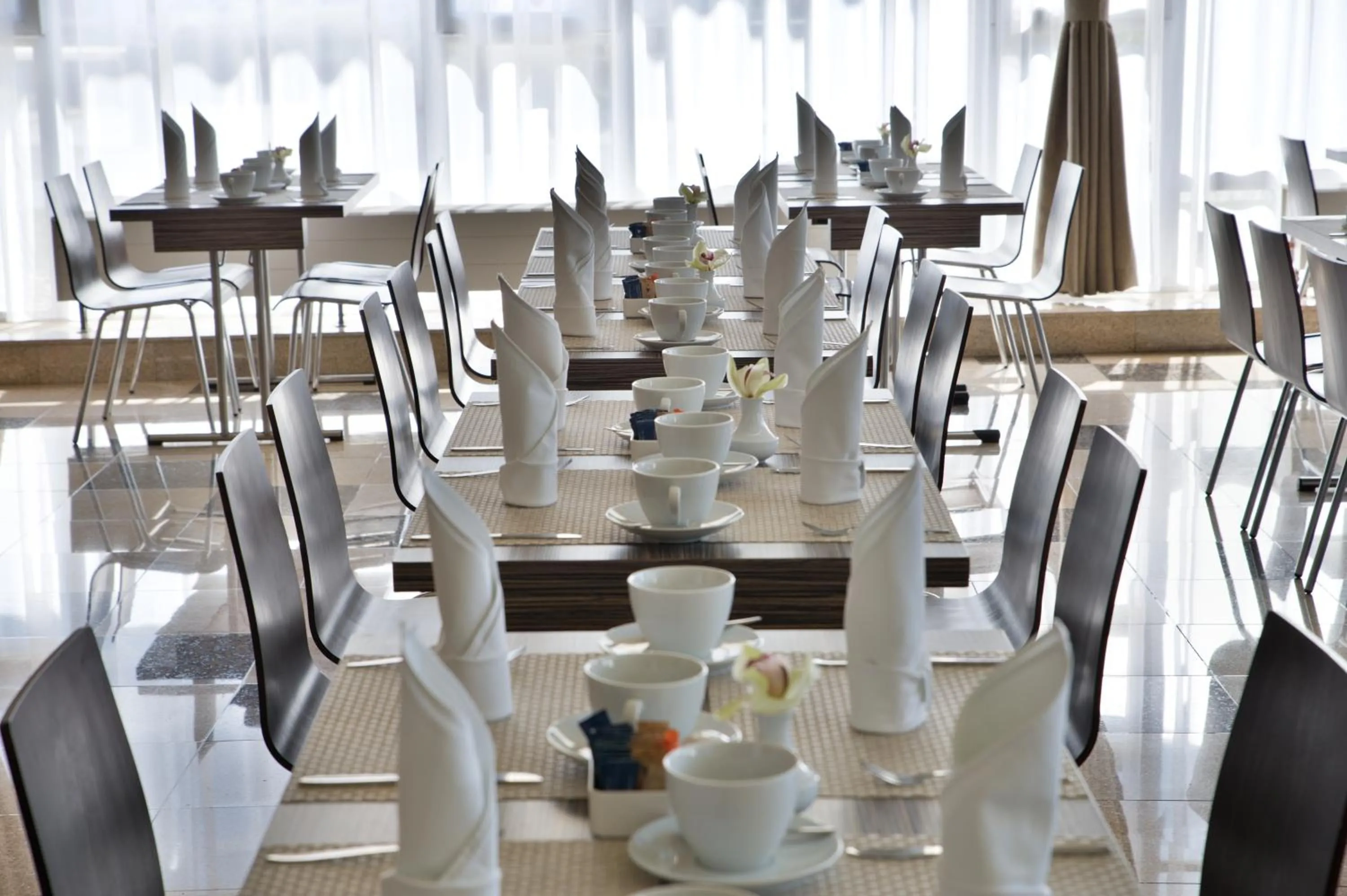 Restaurant/places to eat in Hotel Continental