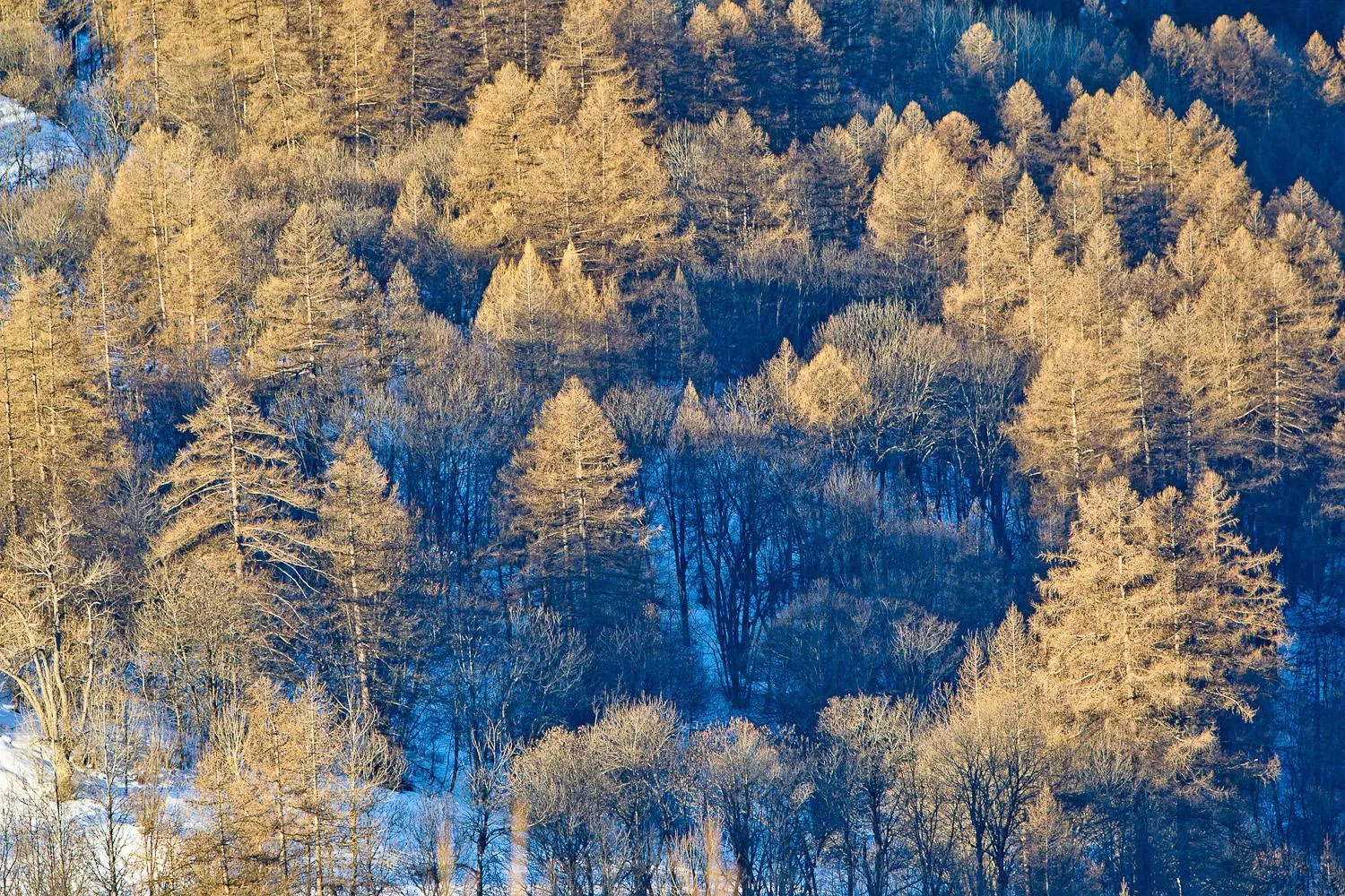 Day in Rock Noir & Spa