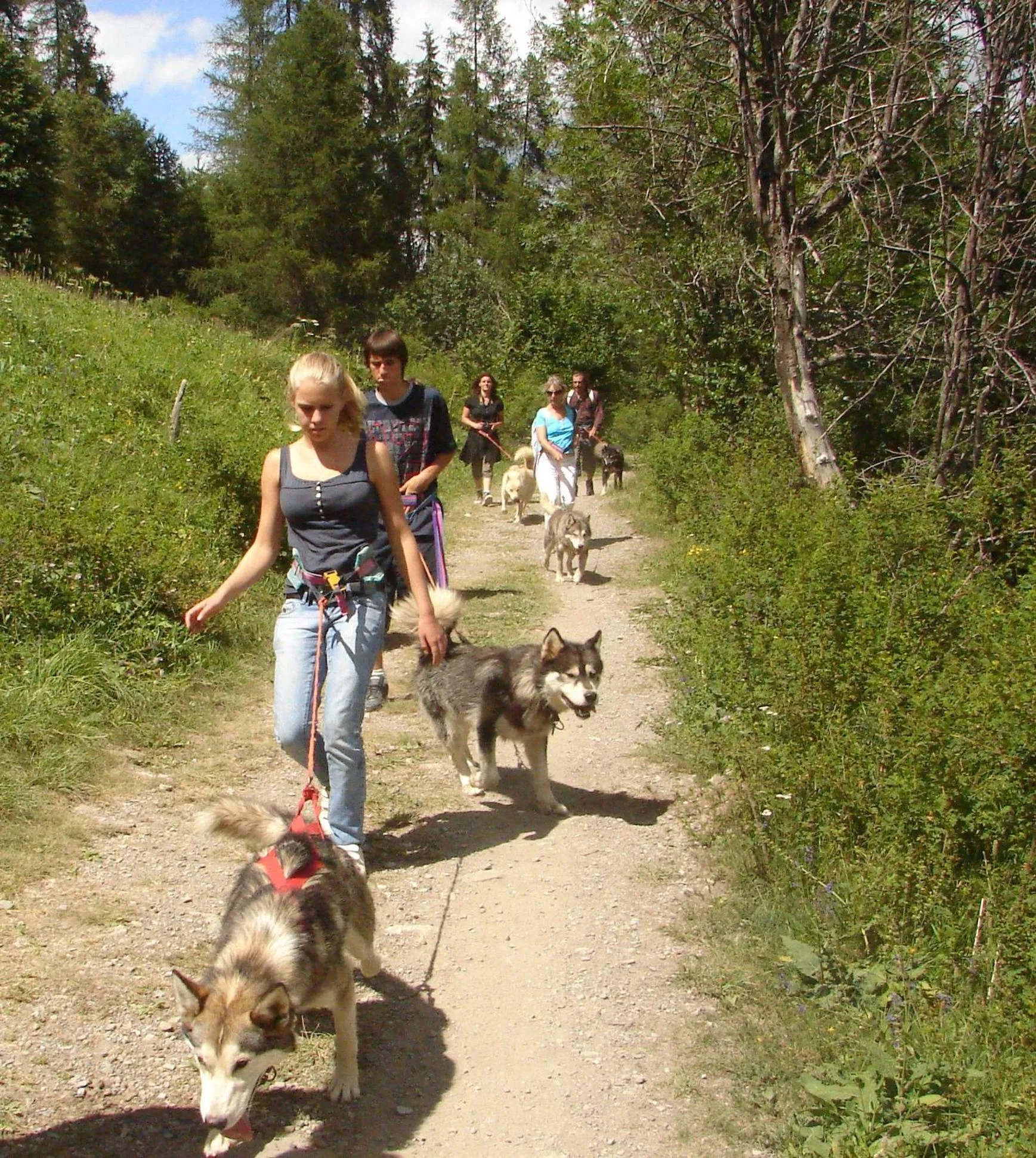 Pets in Rock Noir & Spa