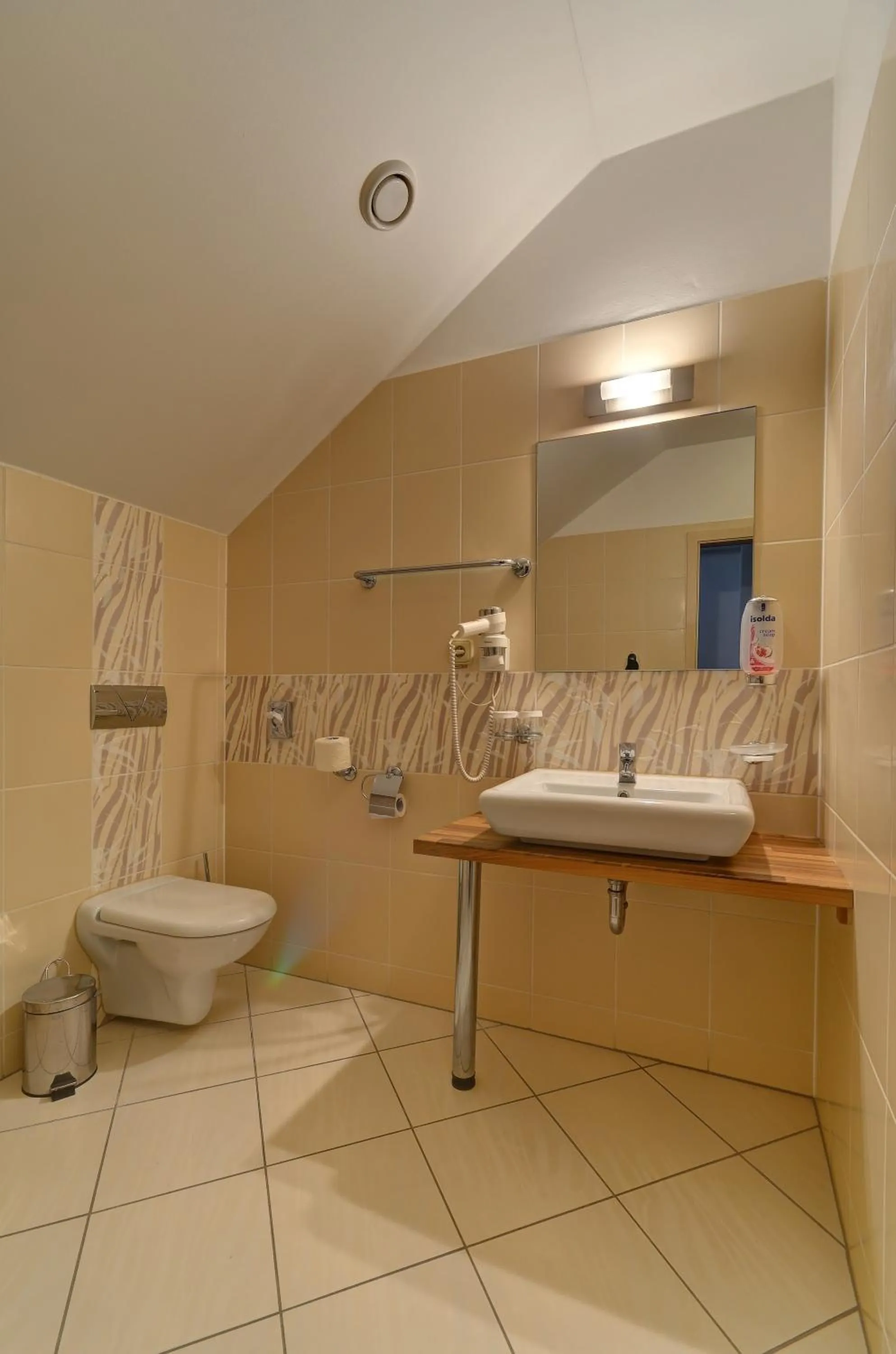 Bathroom in Hotel U Pramenu