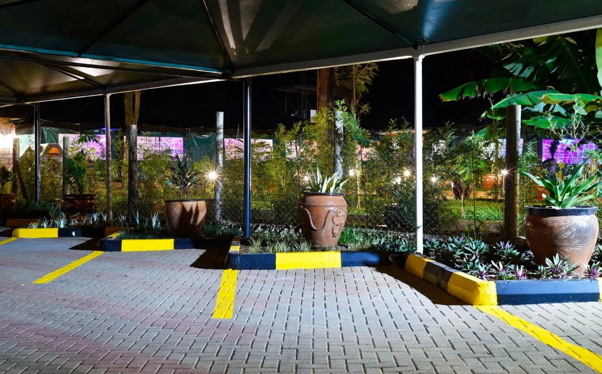 Garden view in Lovely Garden Guest Home