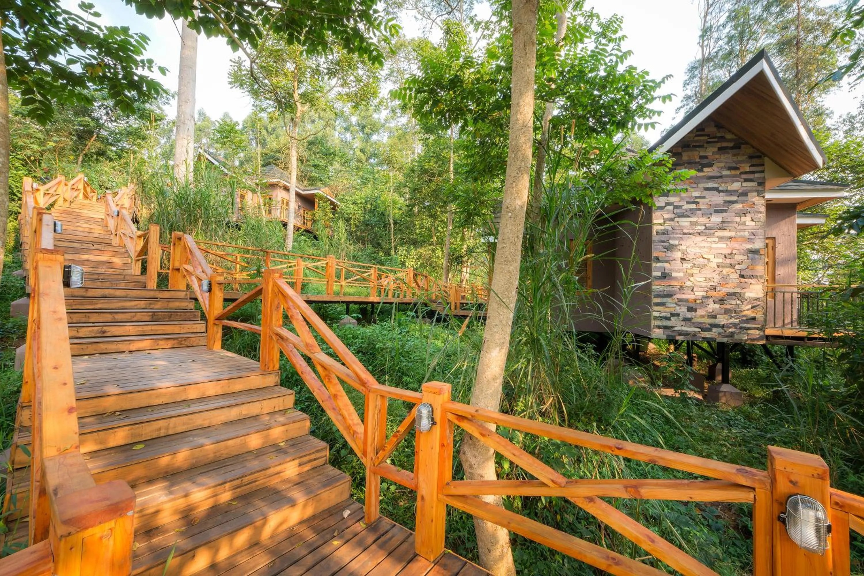 View (from property/room) in Chimpundu Lodge