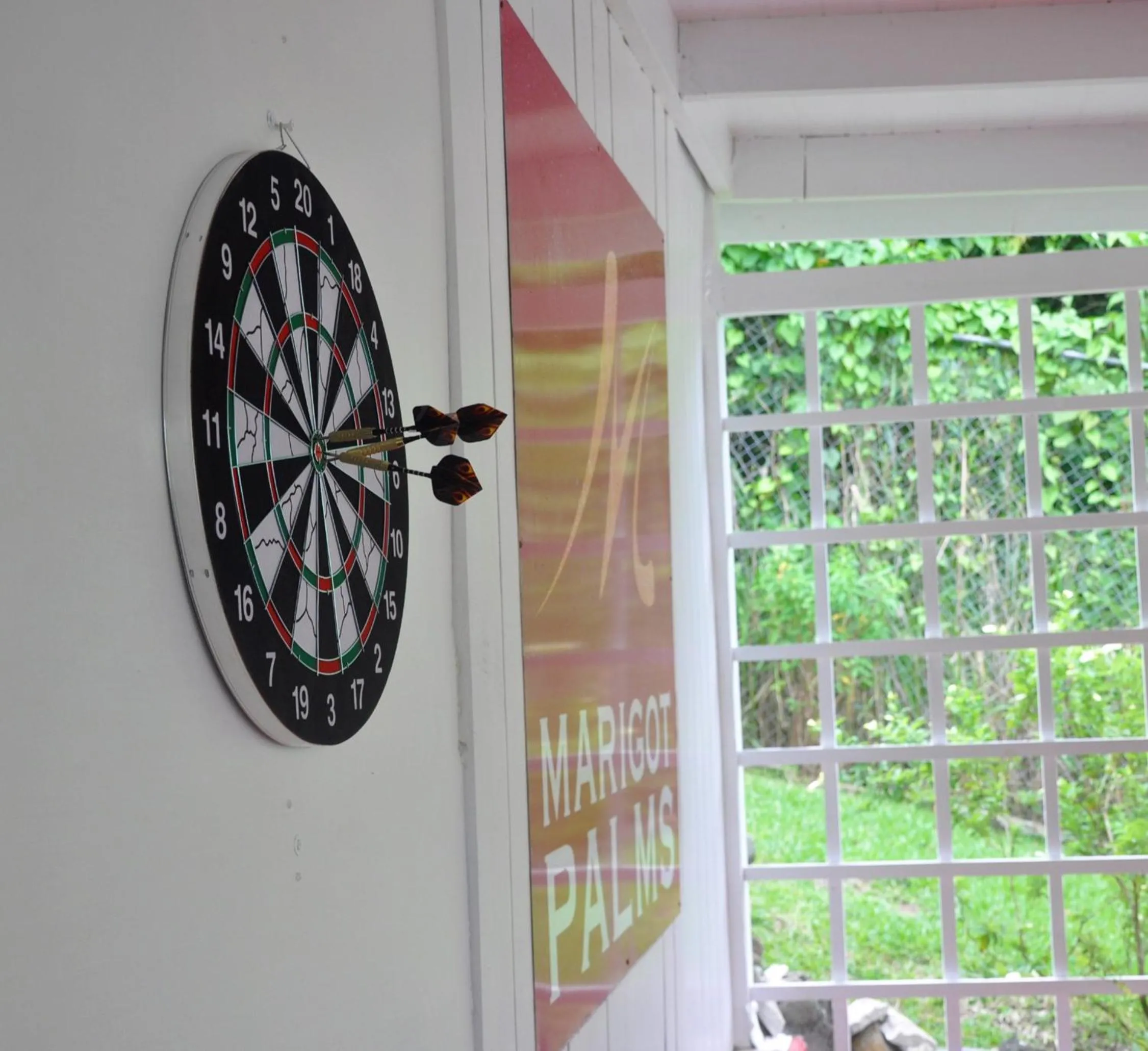 Darts in Marigot Palms Luxury Caribbean Apartment Suites