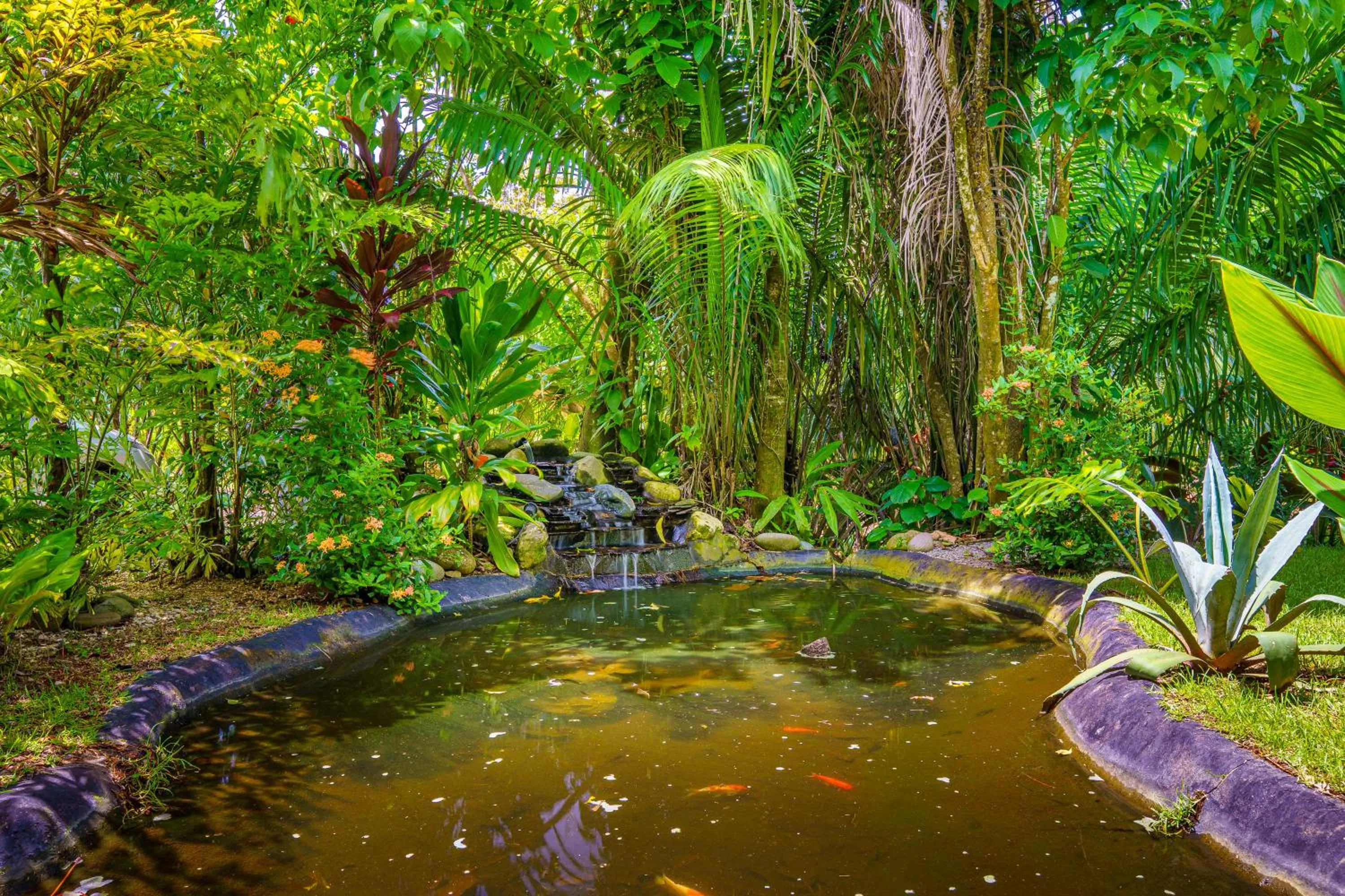 Garden in Hotel FAREMITI Uvita