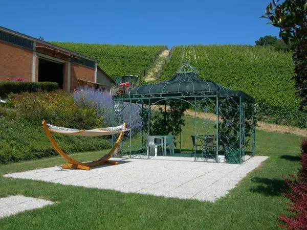 Garden in Cà Du Ruja