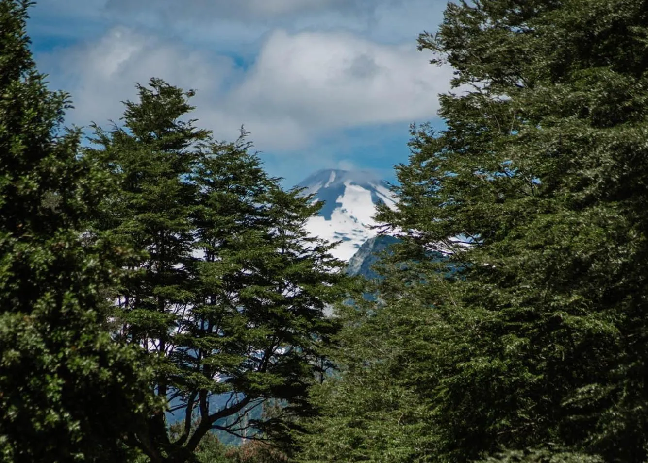 Natural landscape in Hotel Posada del Río - Parque Metreñehue