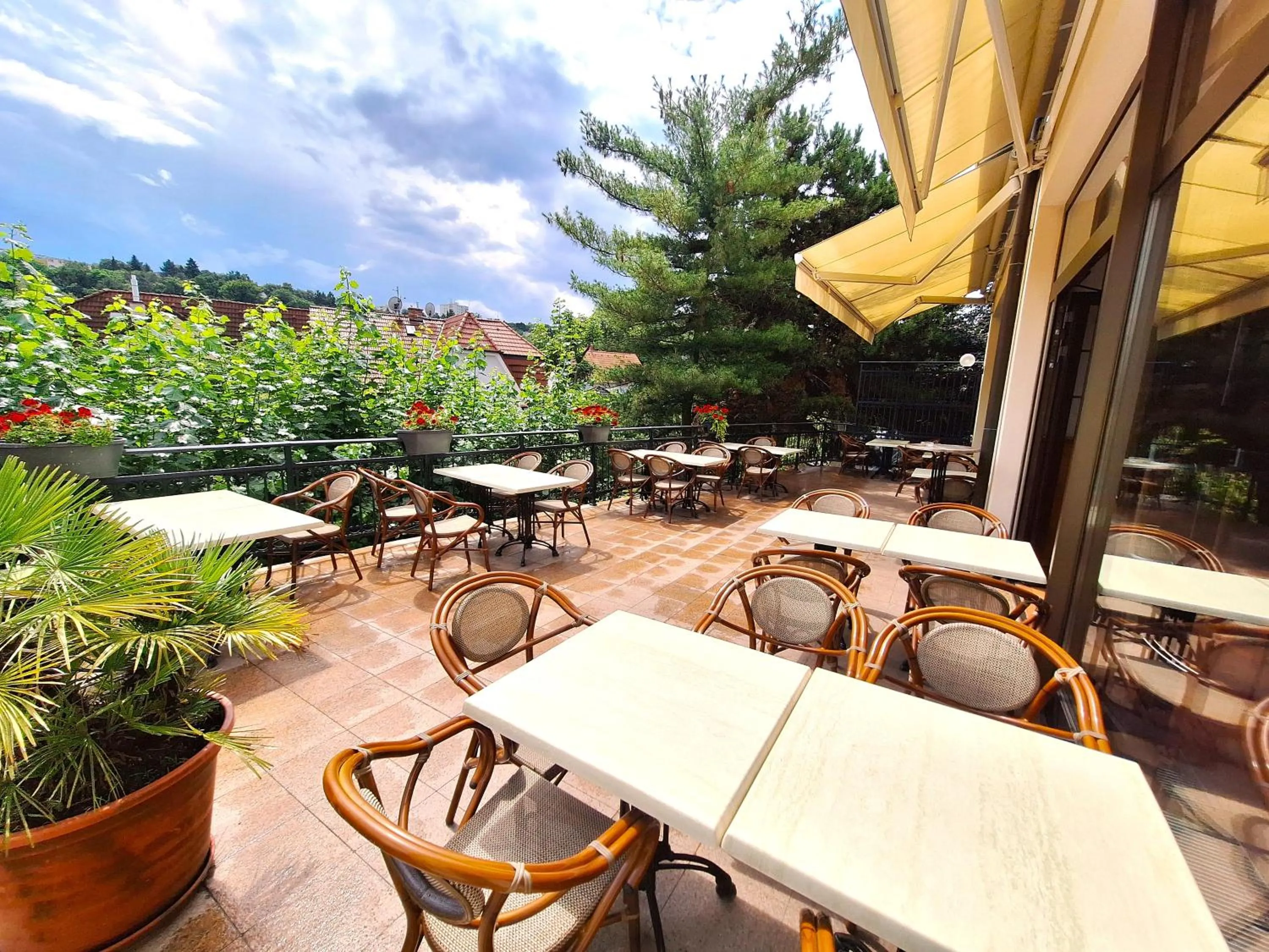 Restaurant/places to eat in Hotel Avion