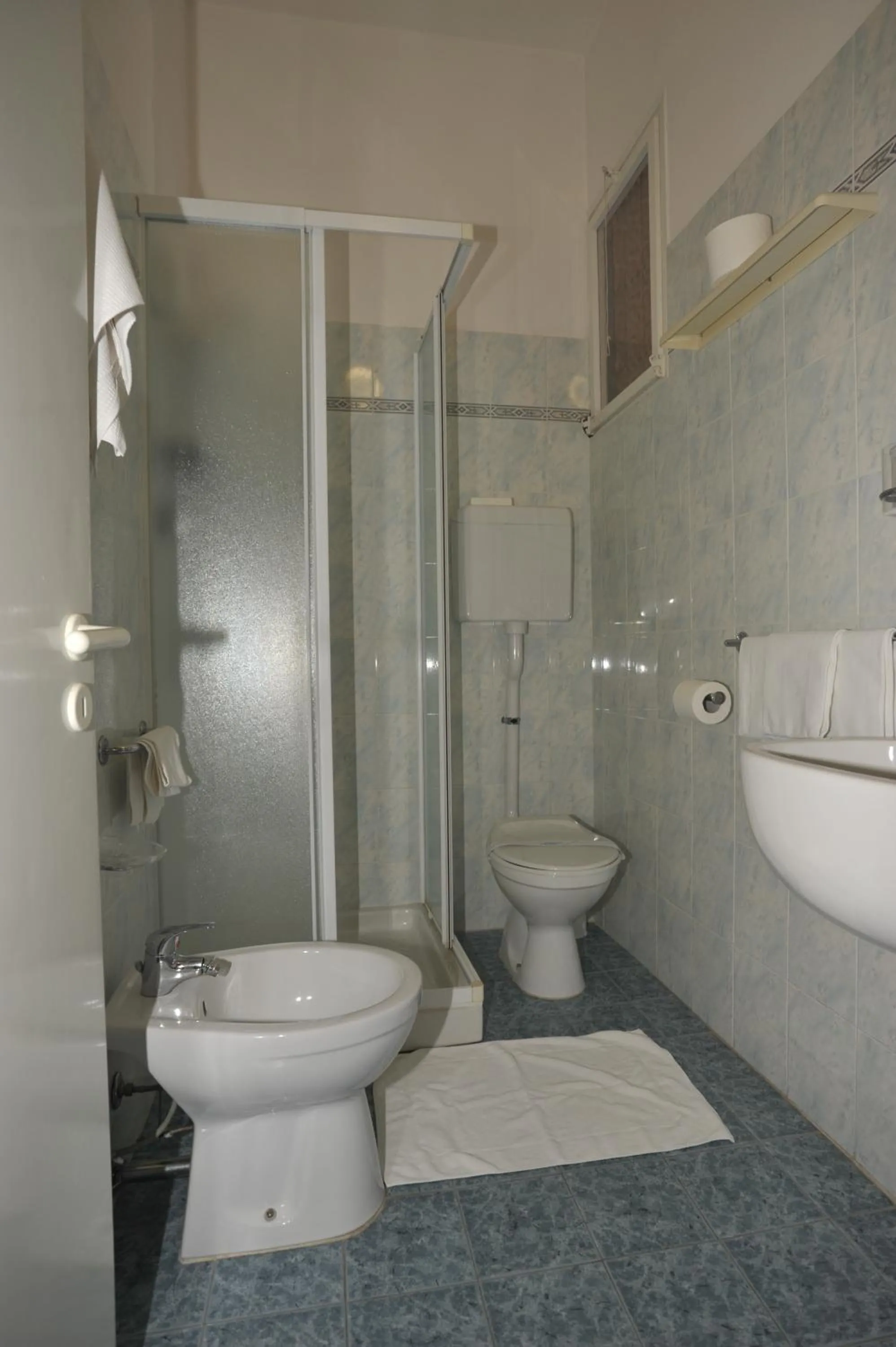 Toilet in Hotel Metron