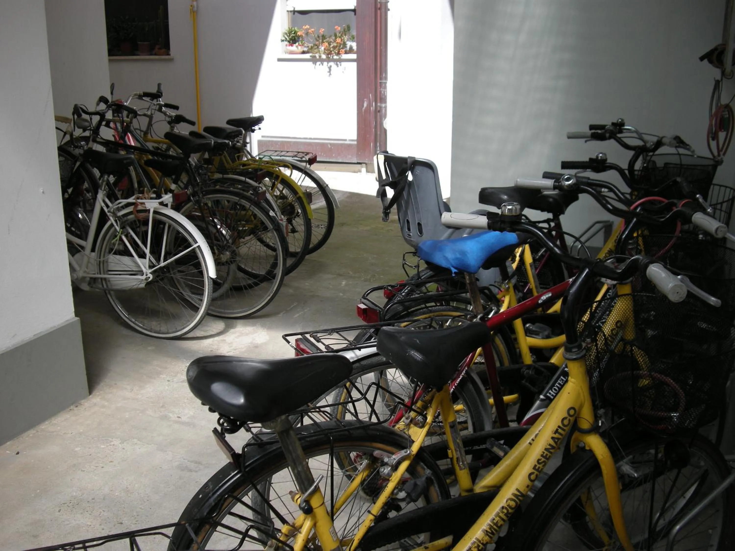 Cycling in Hotel Metron