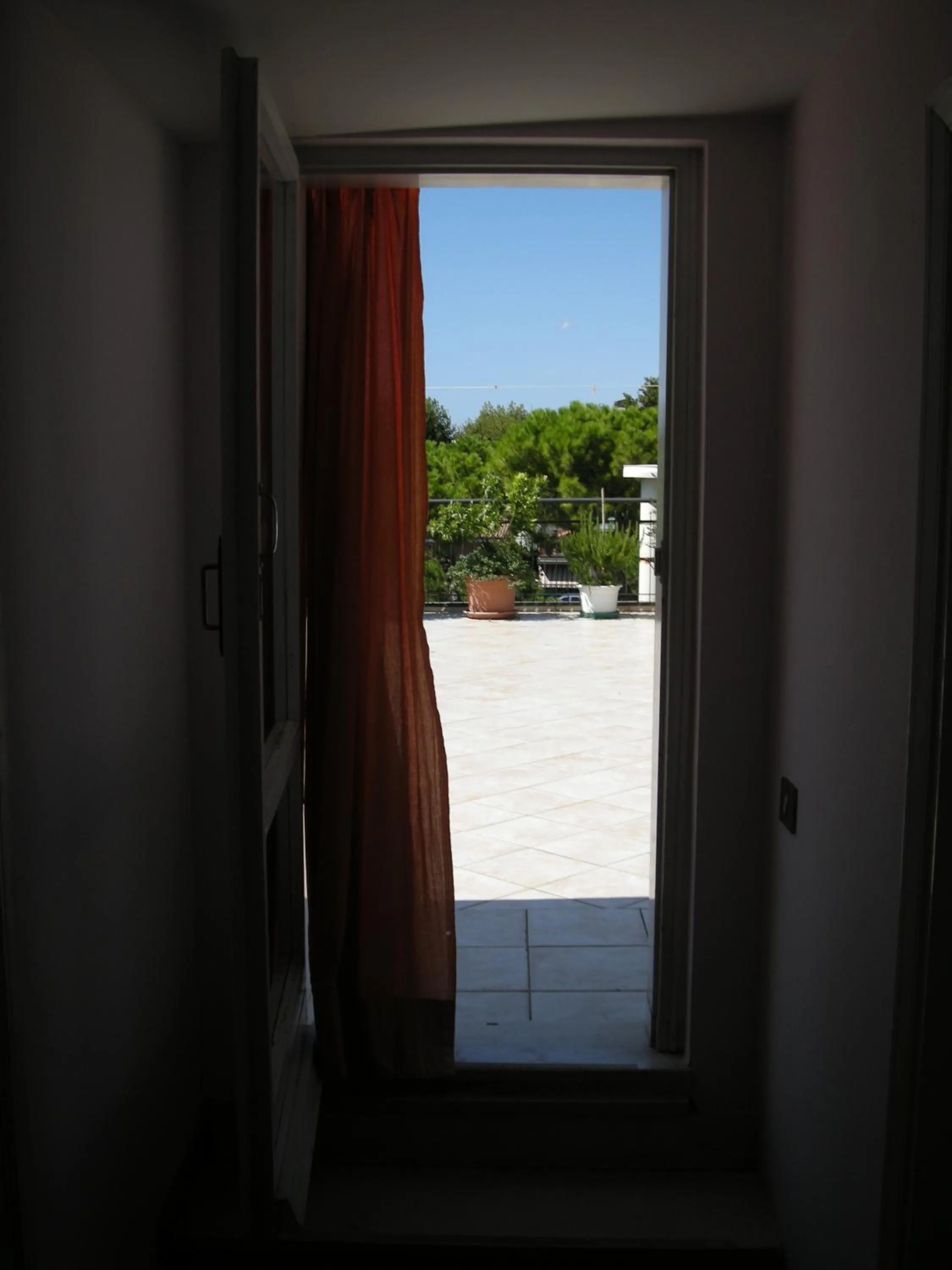 Garden in Hotel Metron