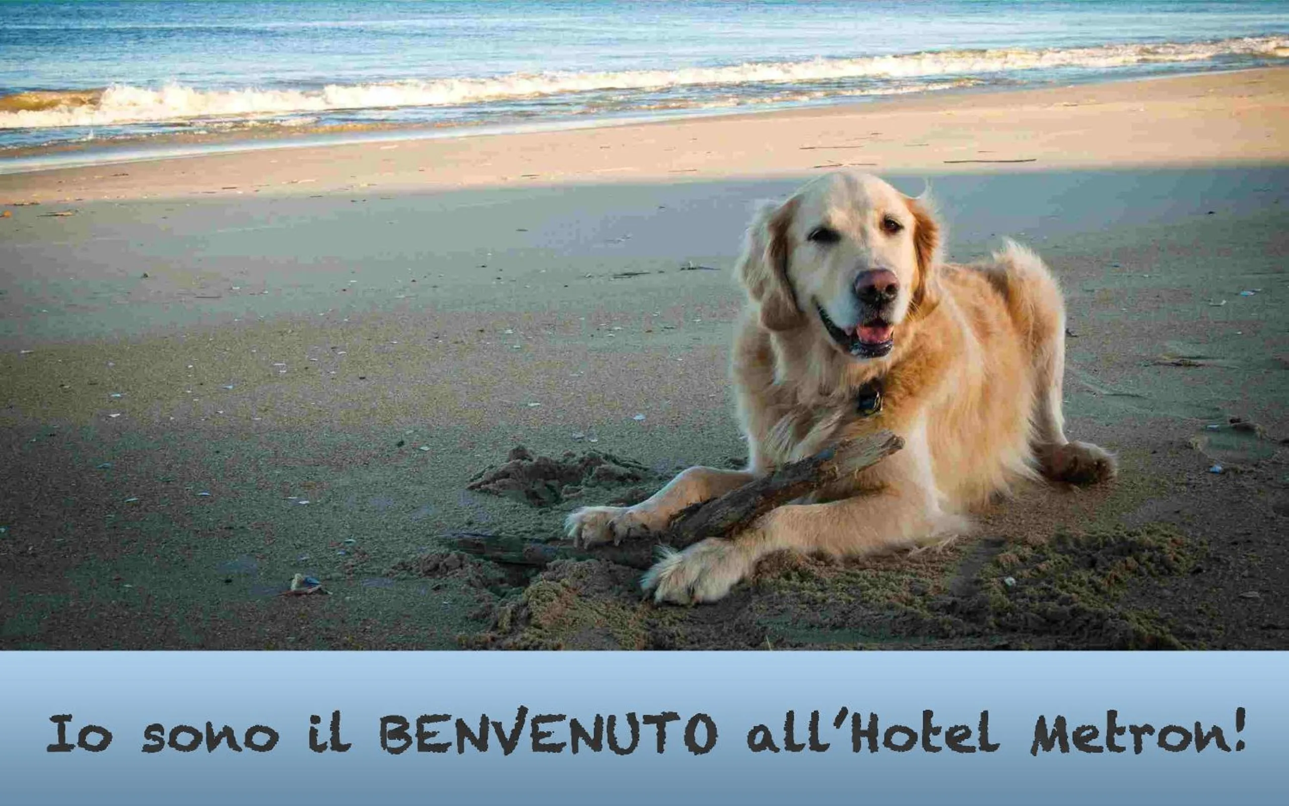 Beach in Hotel Metron