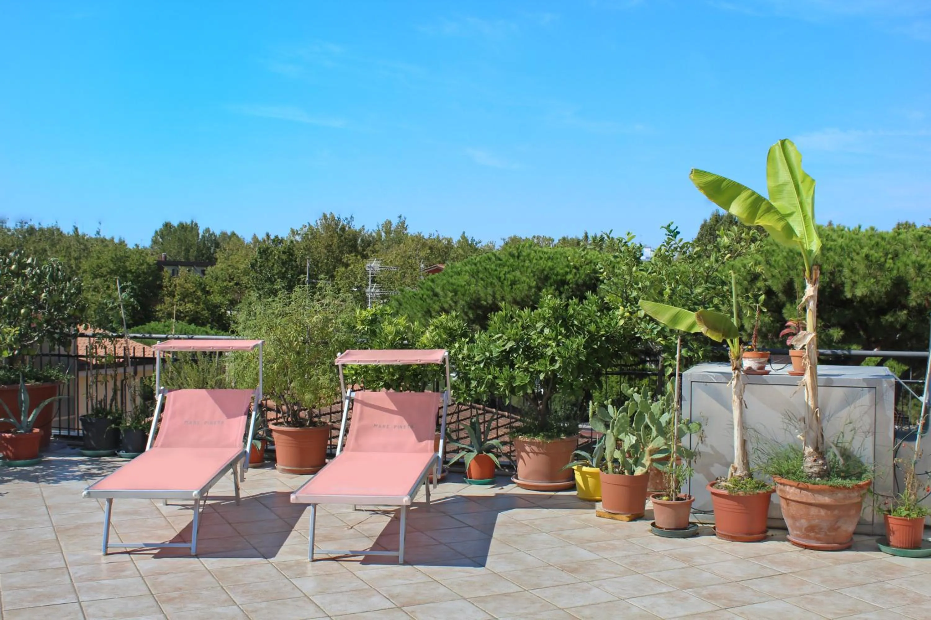 Balcony/Terrace in Hotel Metron