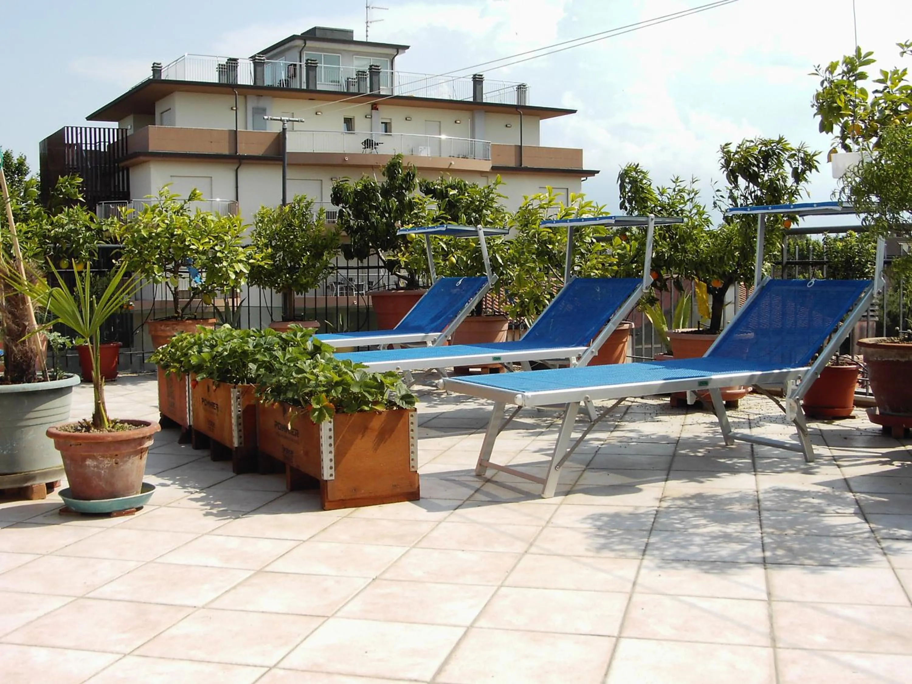 Balcony/Terrace in Hotel Metron