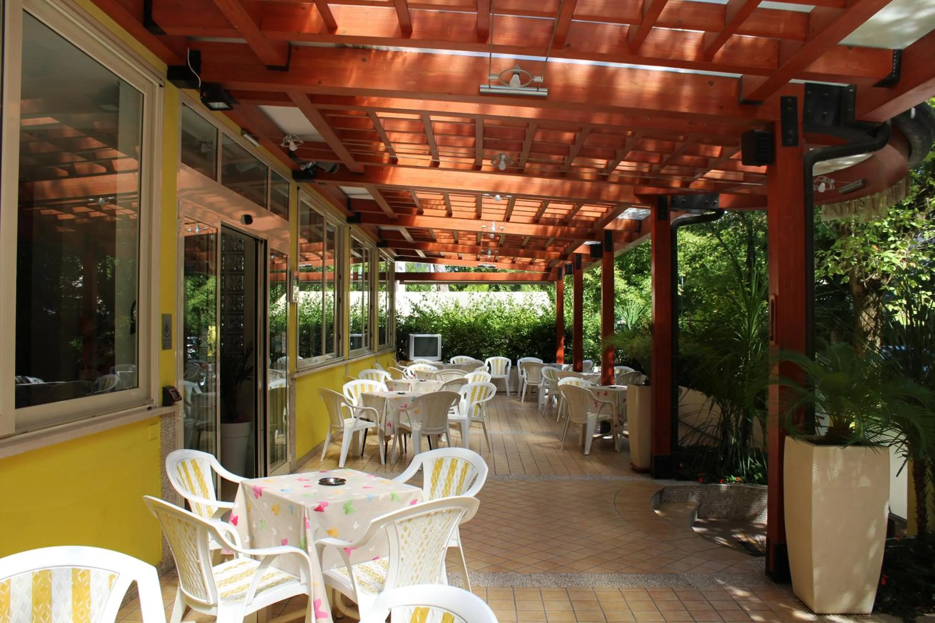 Garden in Hotel Metron