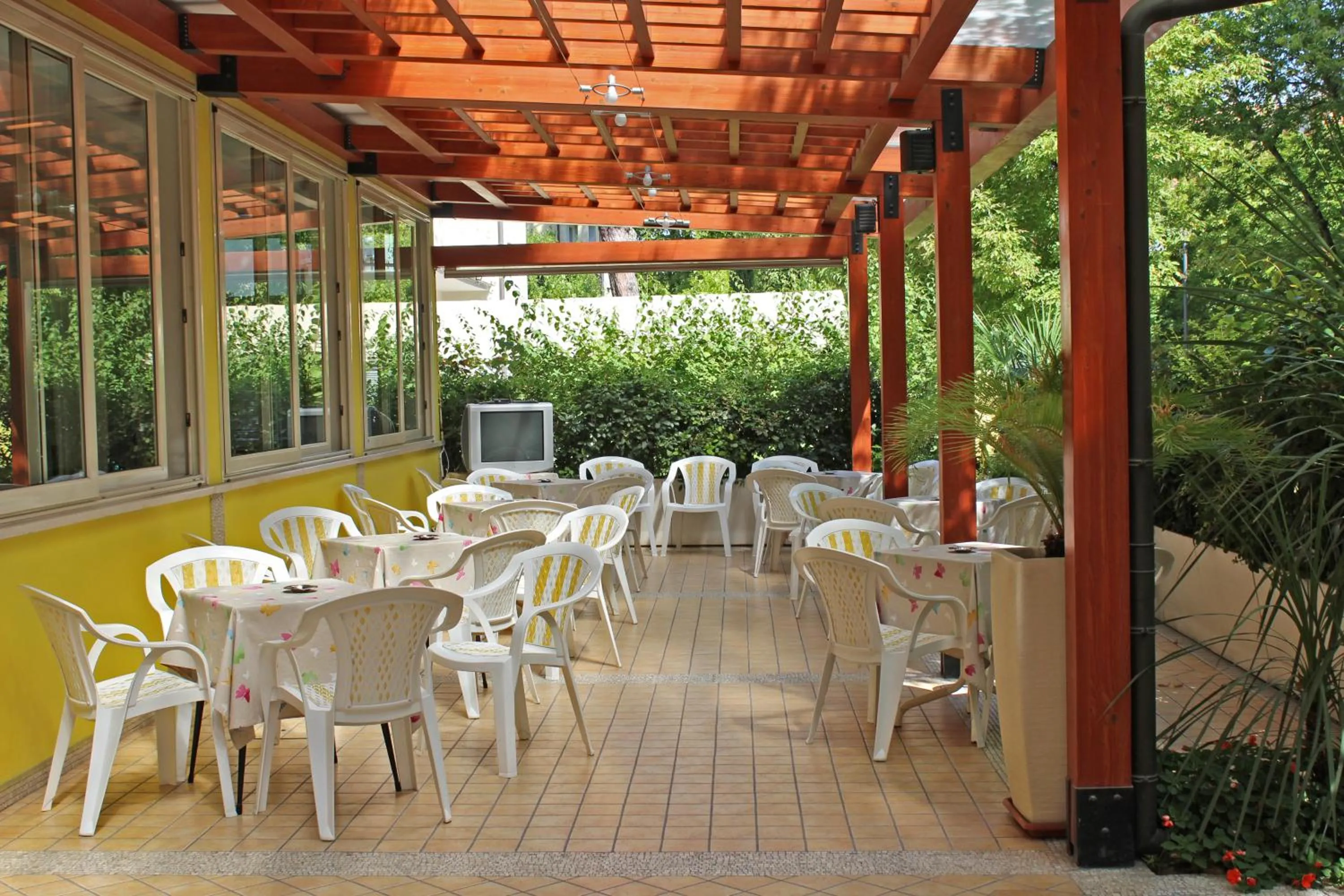 Garden in Hotel Metron