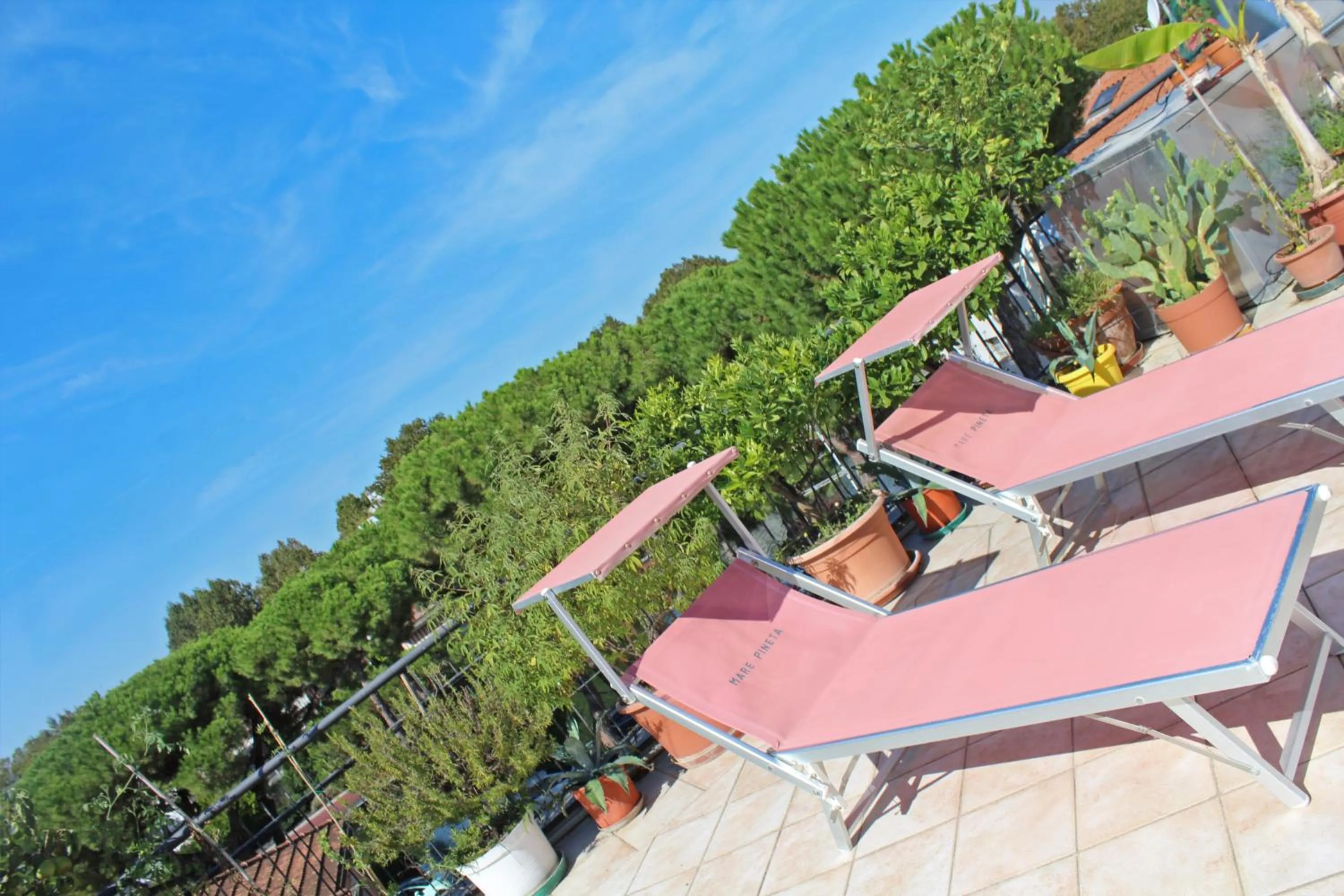 Balcony/Terrace in Hotel Metron