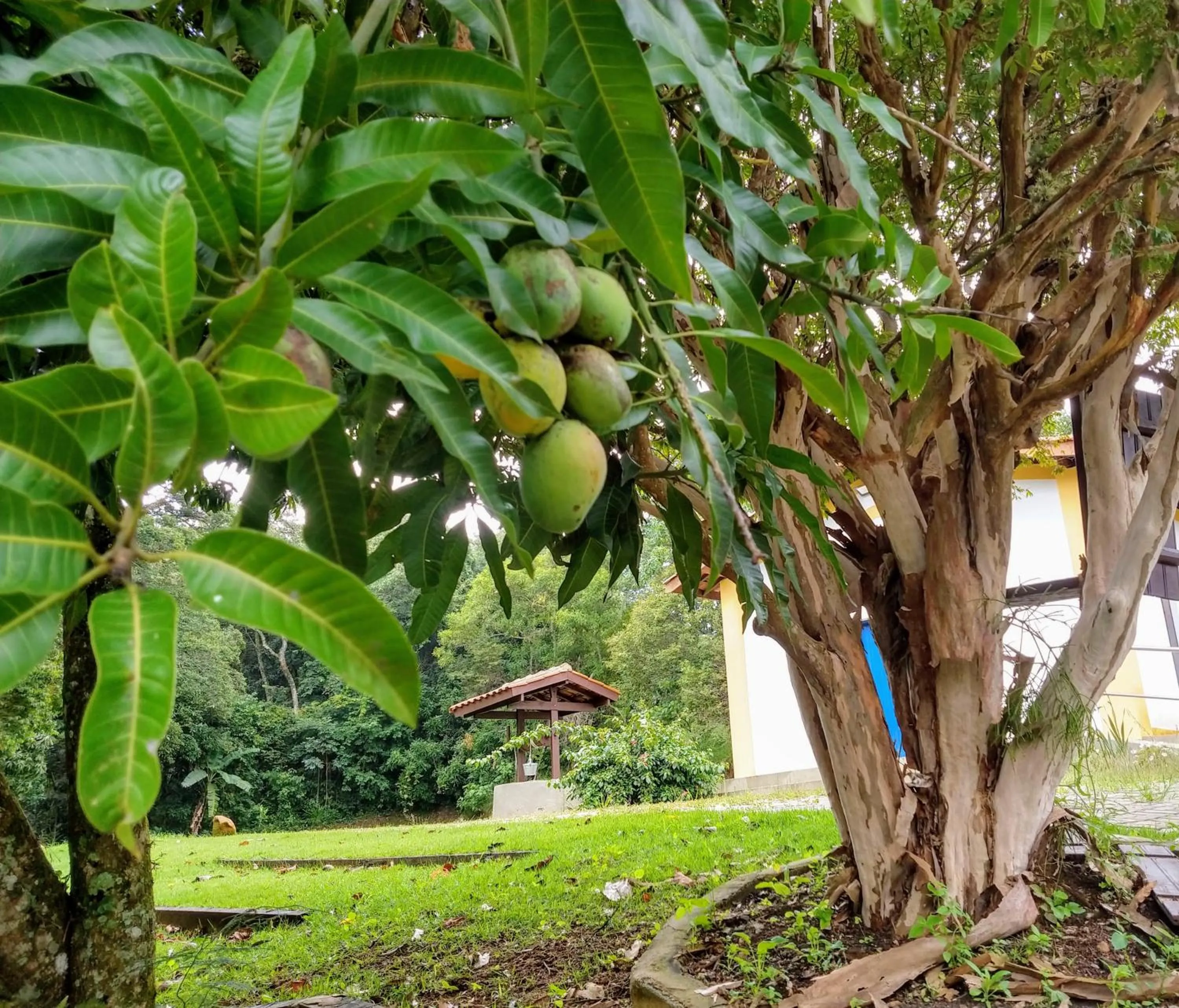 Natural landscape in Pousada Realeza Atibaia