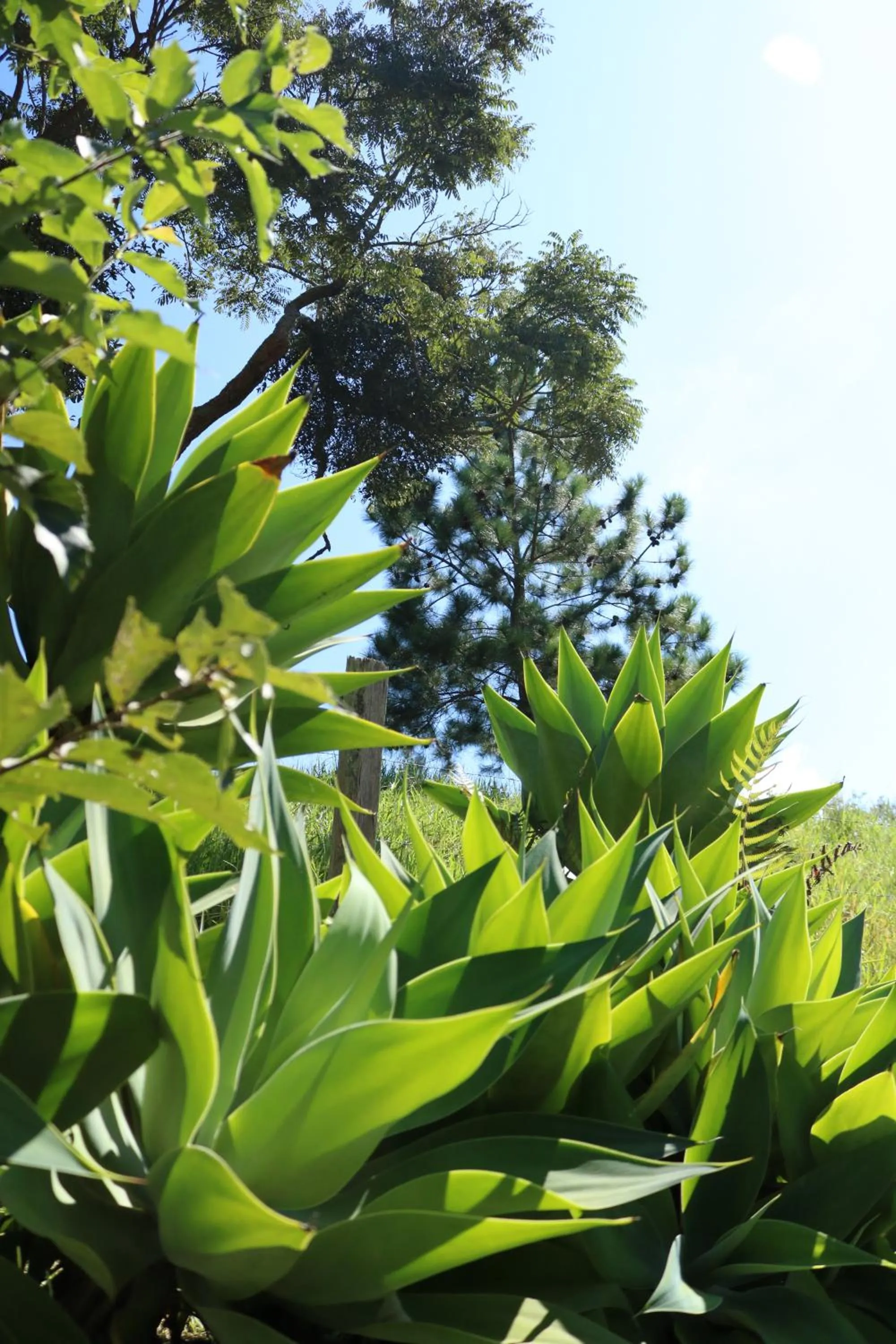 View (from property/room) in Pousada Realeza Atibaia