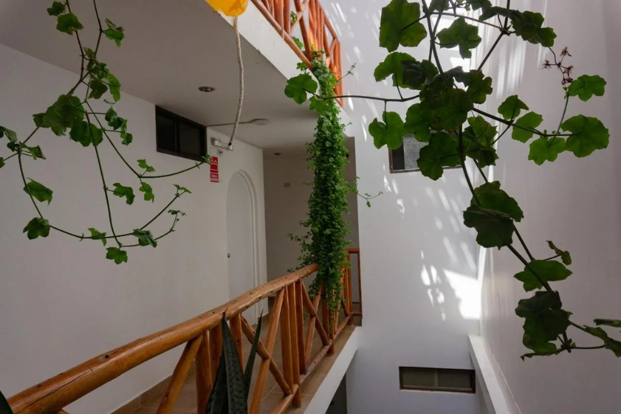 Area and facilities in El Gamonal - Paracas