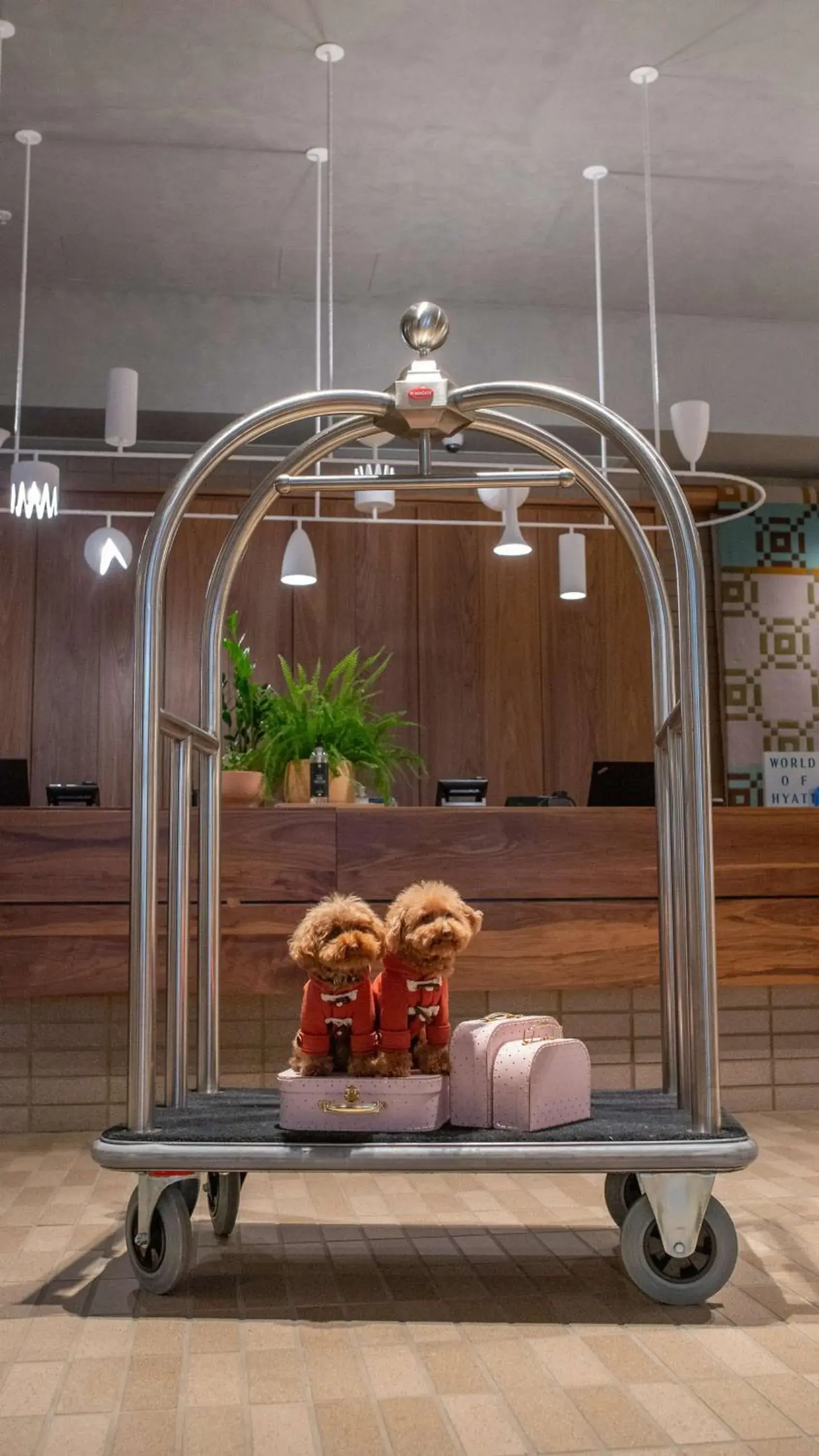 Lobby or reception in Hyatt Centric Melbourne Lobby or reception in Hyatt Centric Melbourne