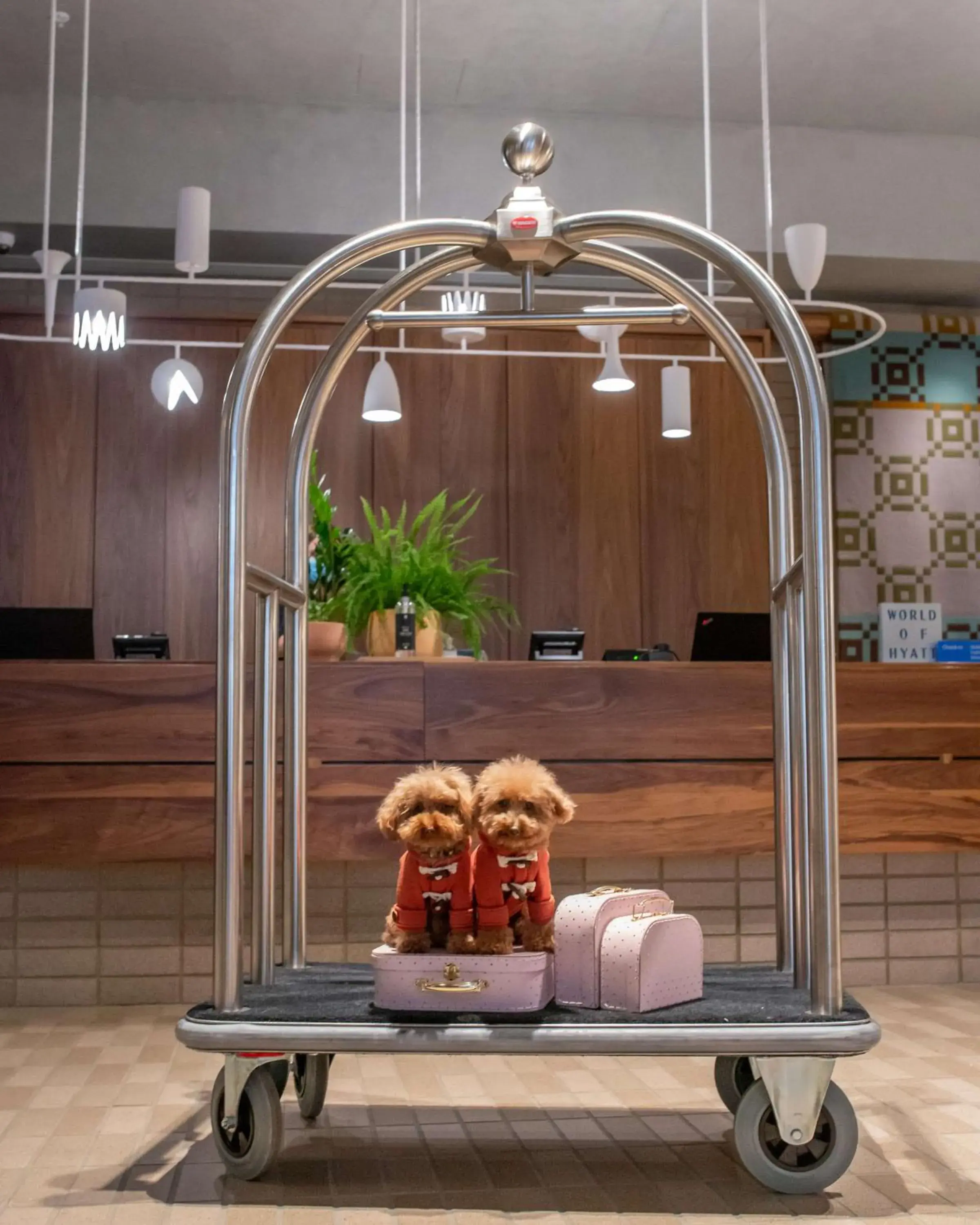 Lobby or reception in Hyatt Centric Melbourne Lobby or reception in Hyatt Centric Melbourne