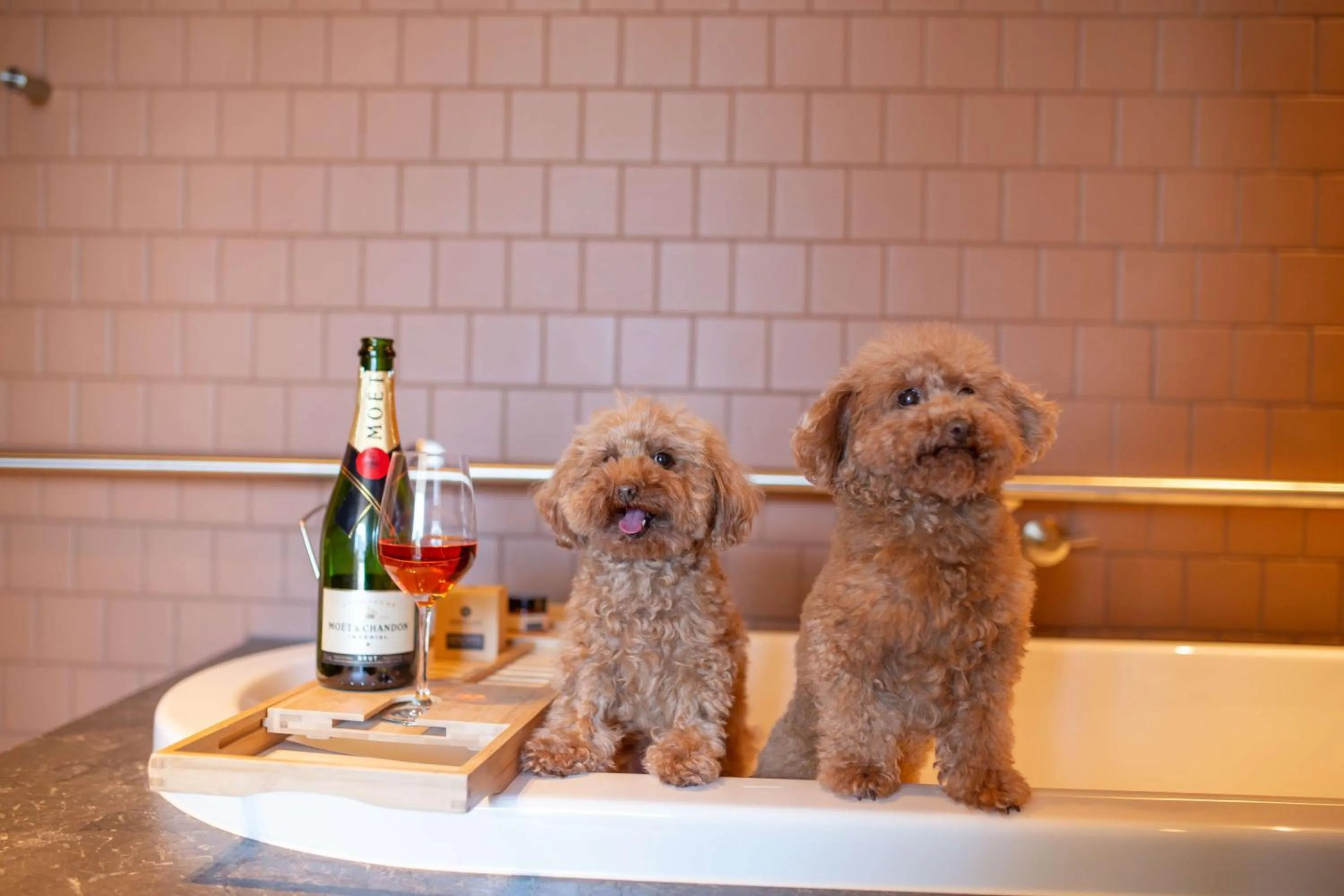 Bedroom in Hyatt Centric Melbourne