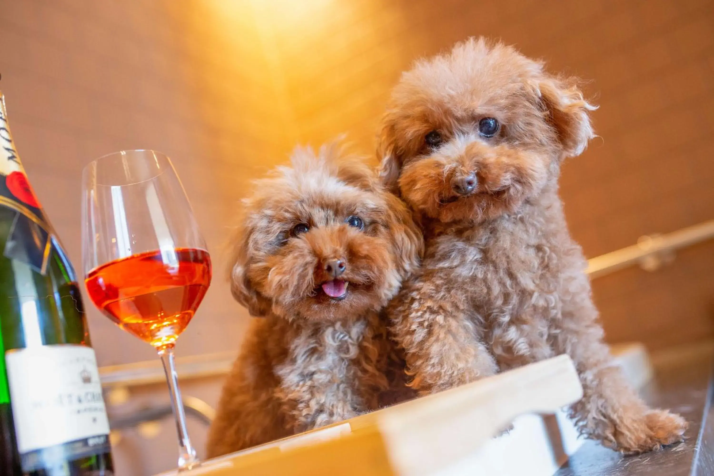 Bedroom in Hyatt Centric Melbourne Bedroom in Hyatt Centric Melbourne