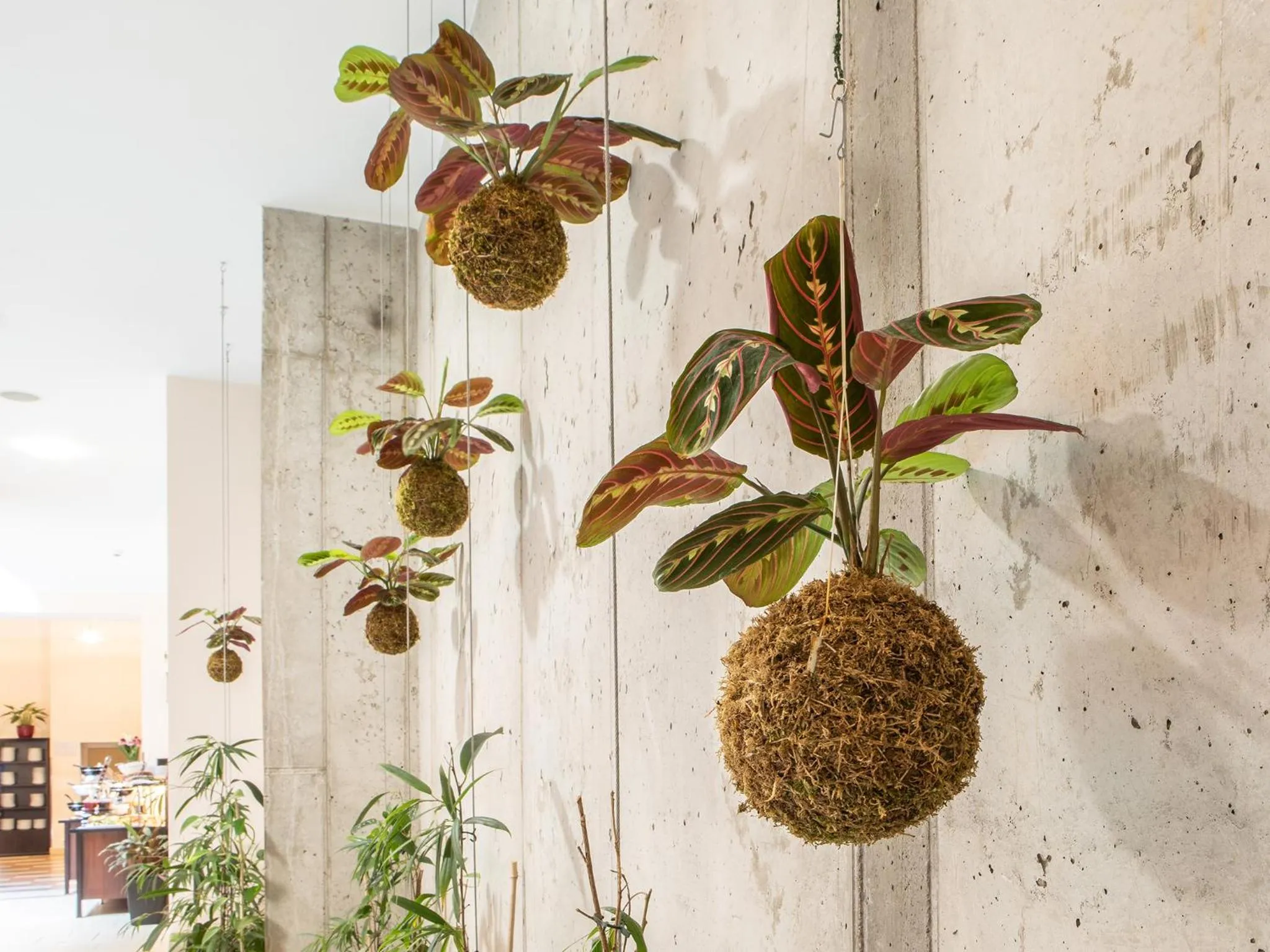 Other in EA Embassy Prague Hotel