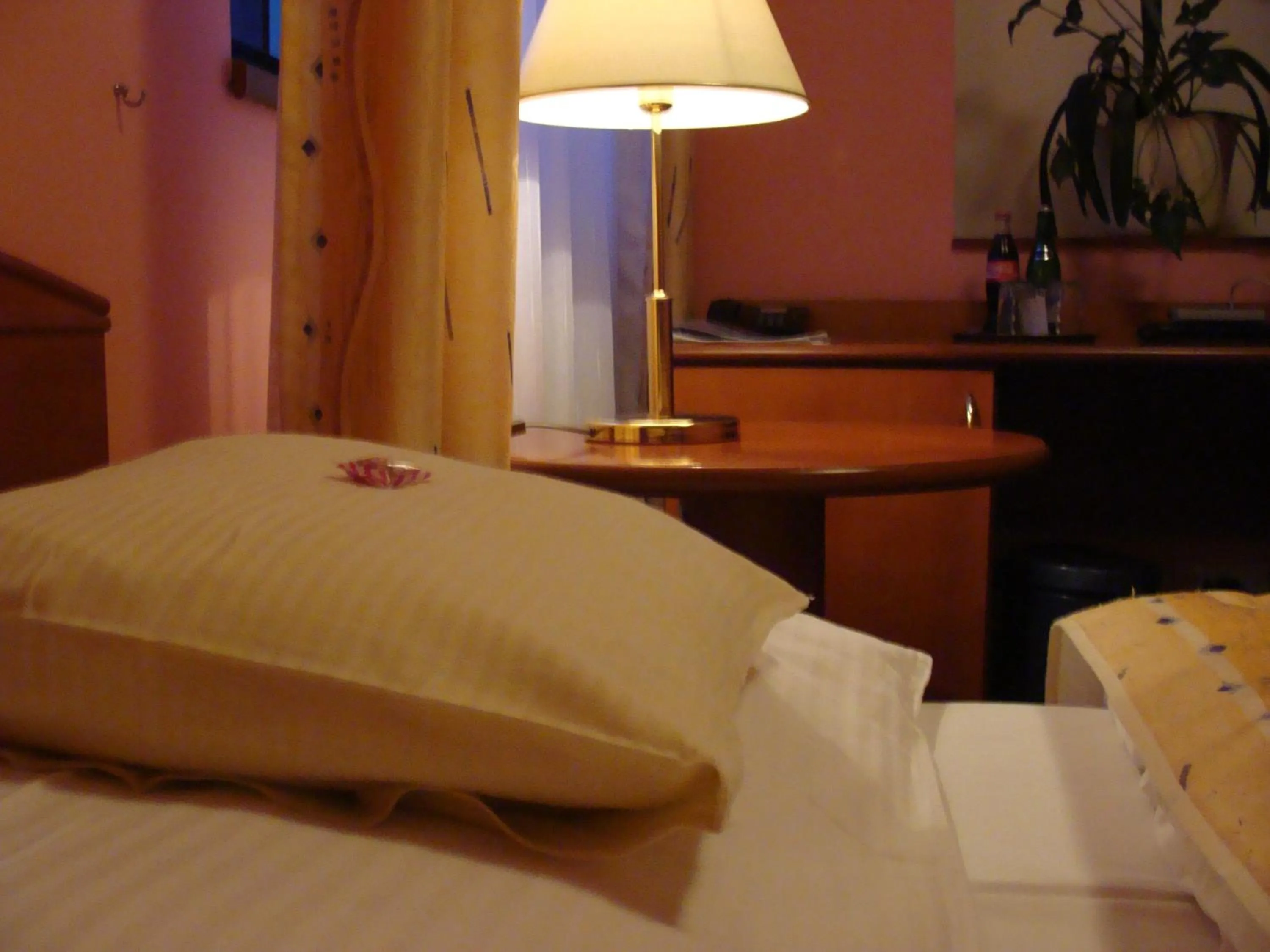 Decorative detail, Bed in Wellness Hotel Anna Nejdek